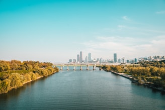 a bridge over a river with a city in the background