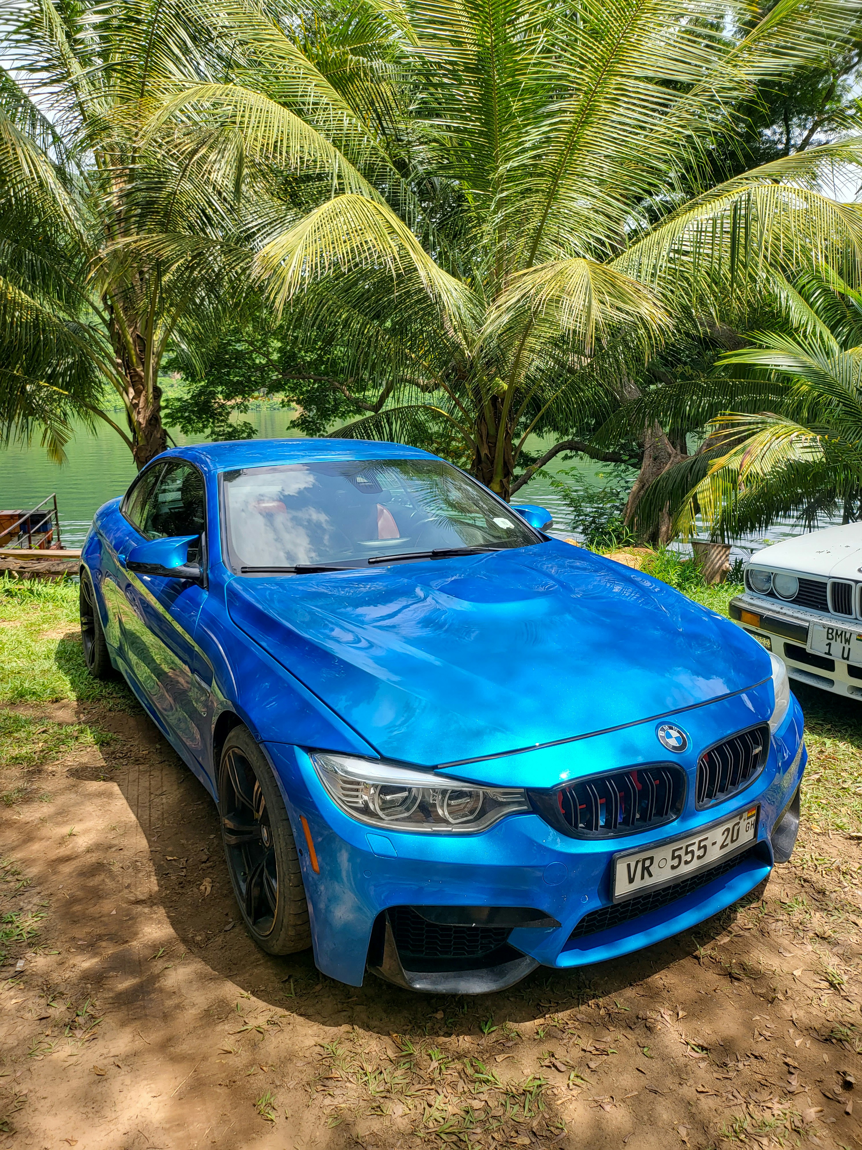 A blue car parked in front of some palm trees photo – Free Business ...