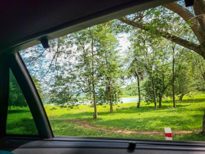A scenic view of Odisha’s lush green landscape seen from a car window.