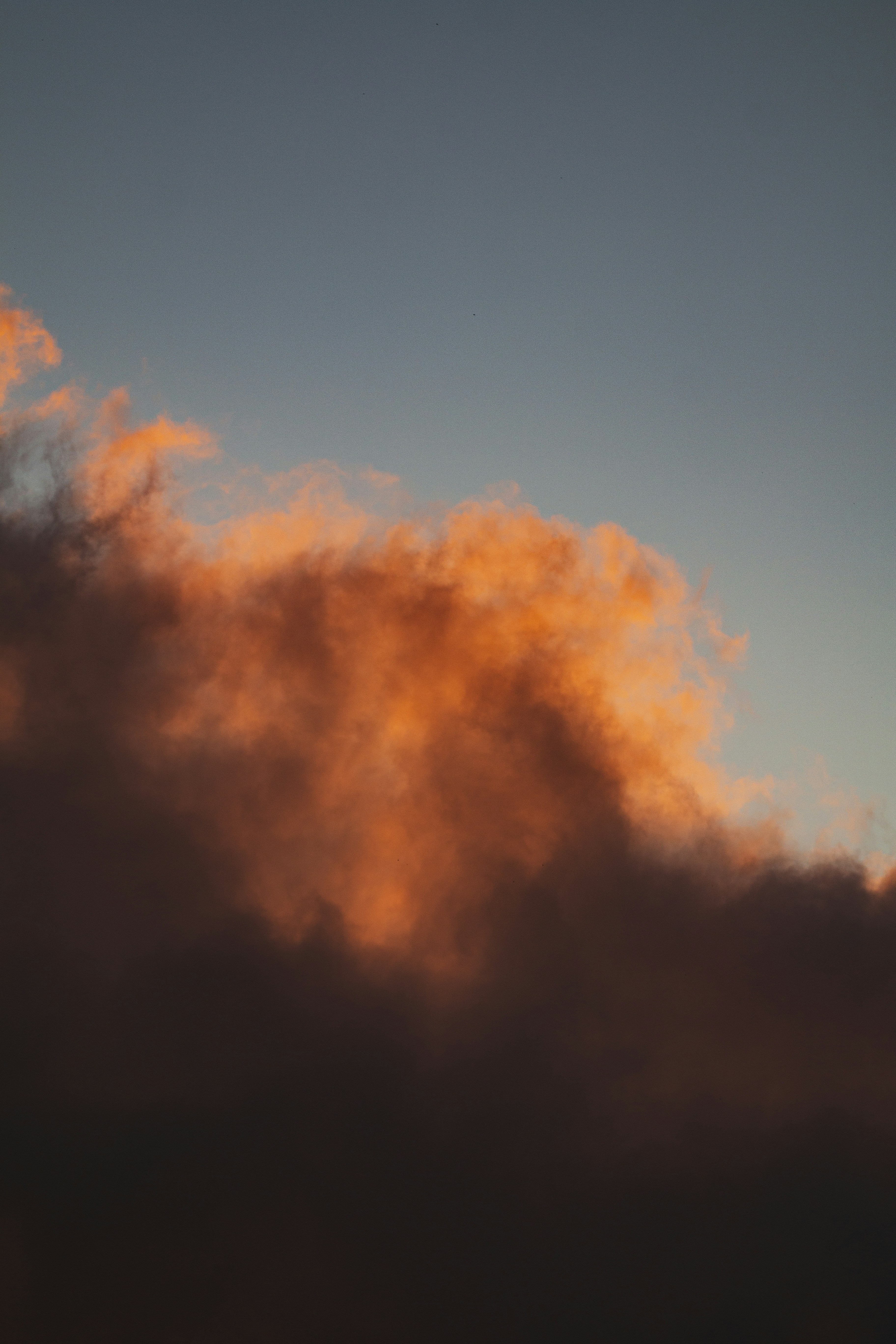 Photo by hamishkale_