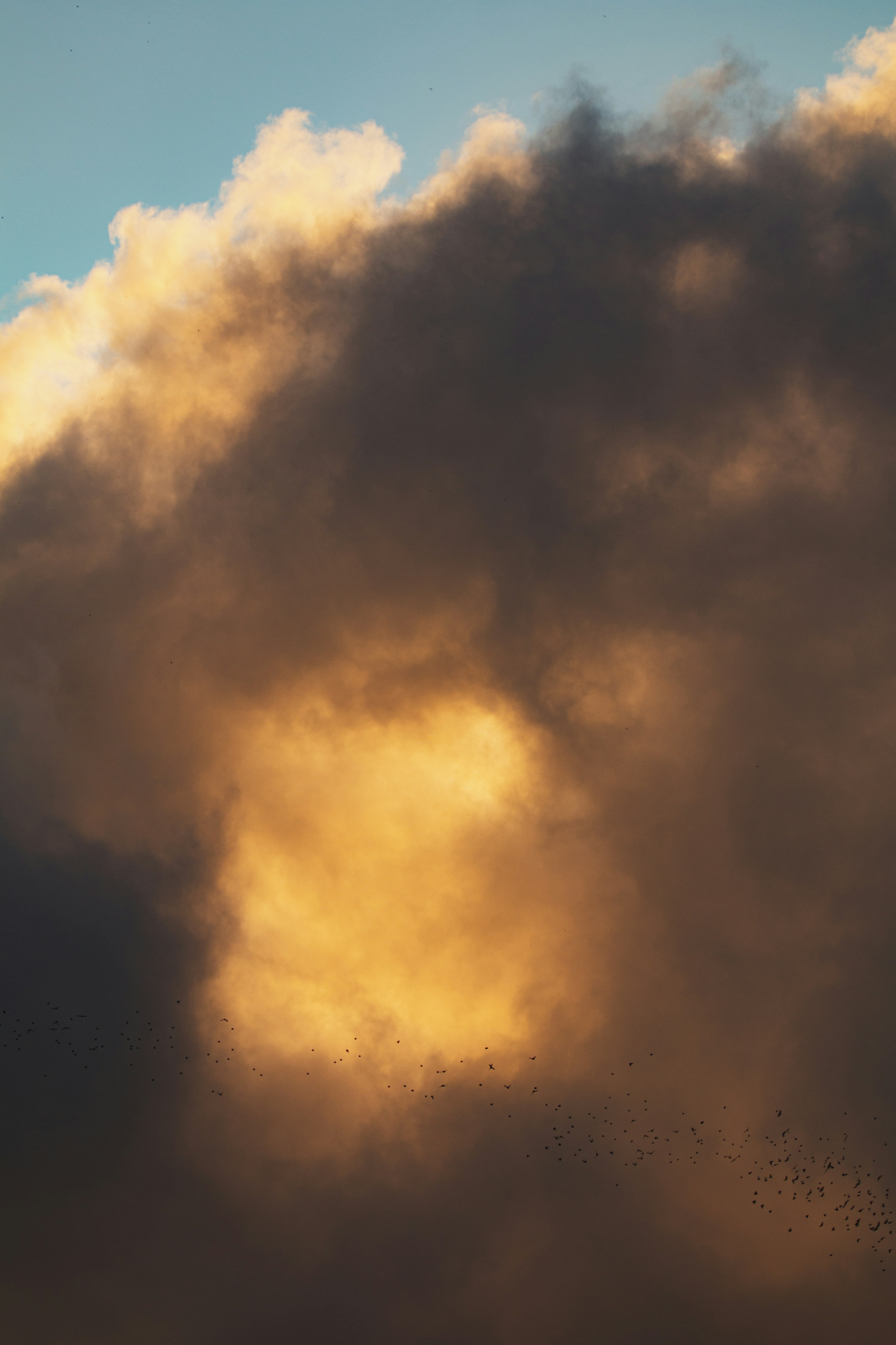 Photo by hamishkale_