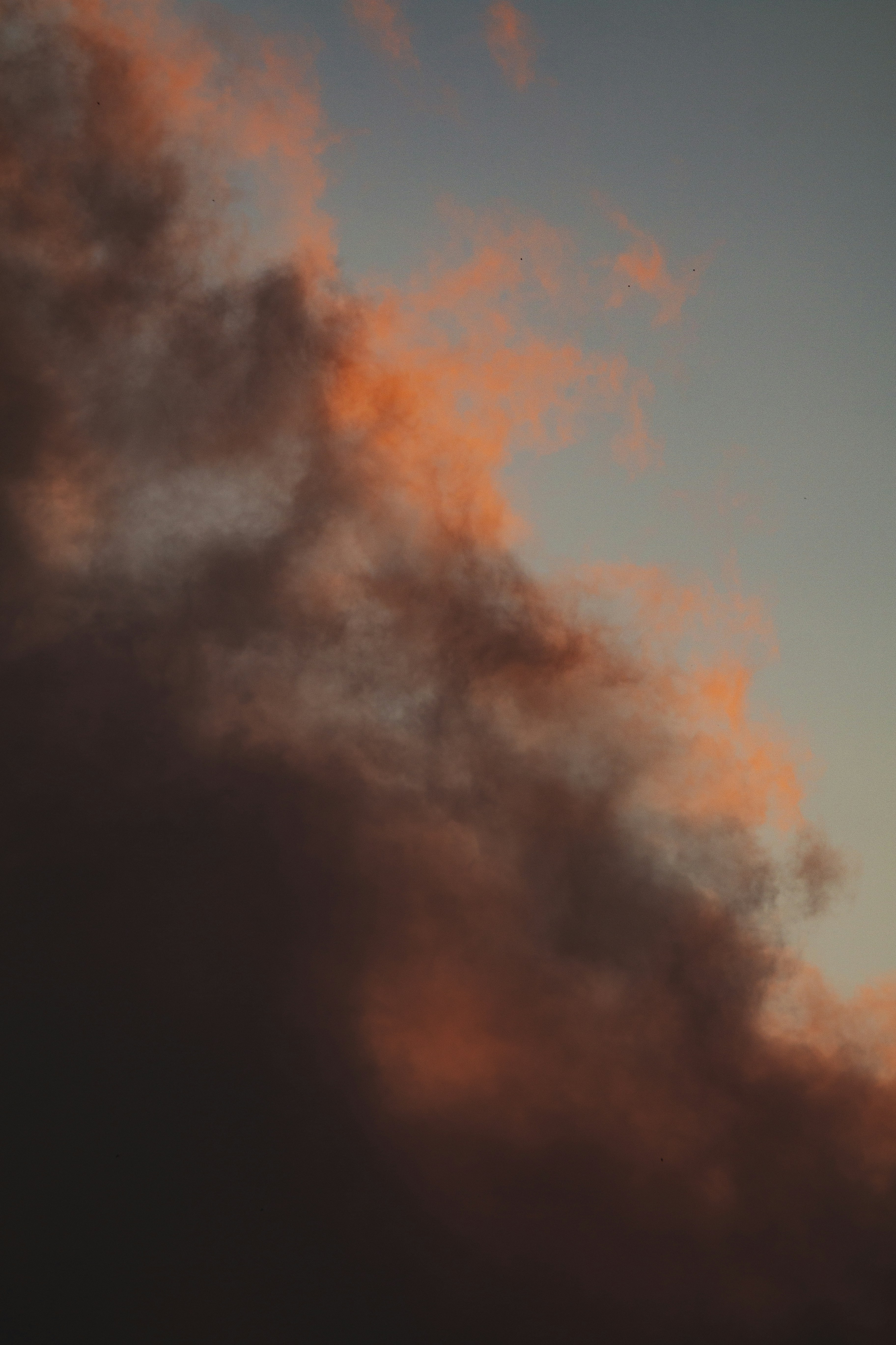 Photo by hamishkale_