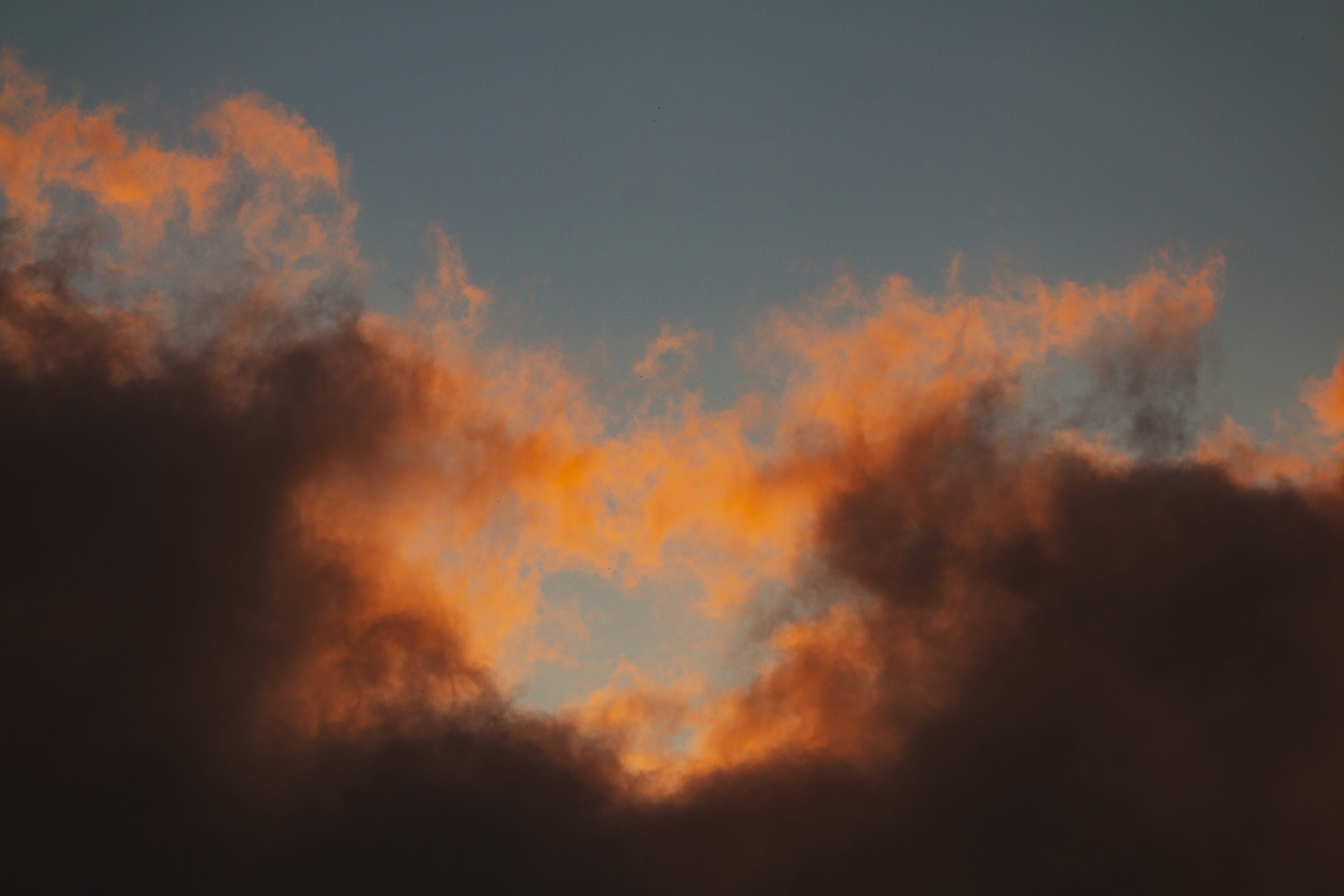 Photo by hamishkale_