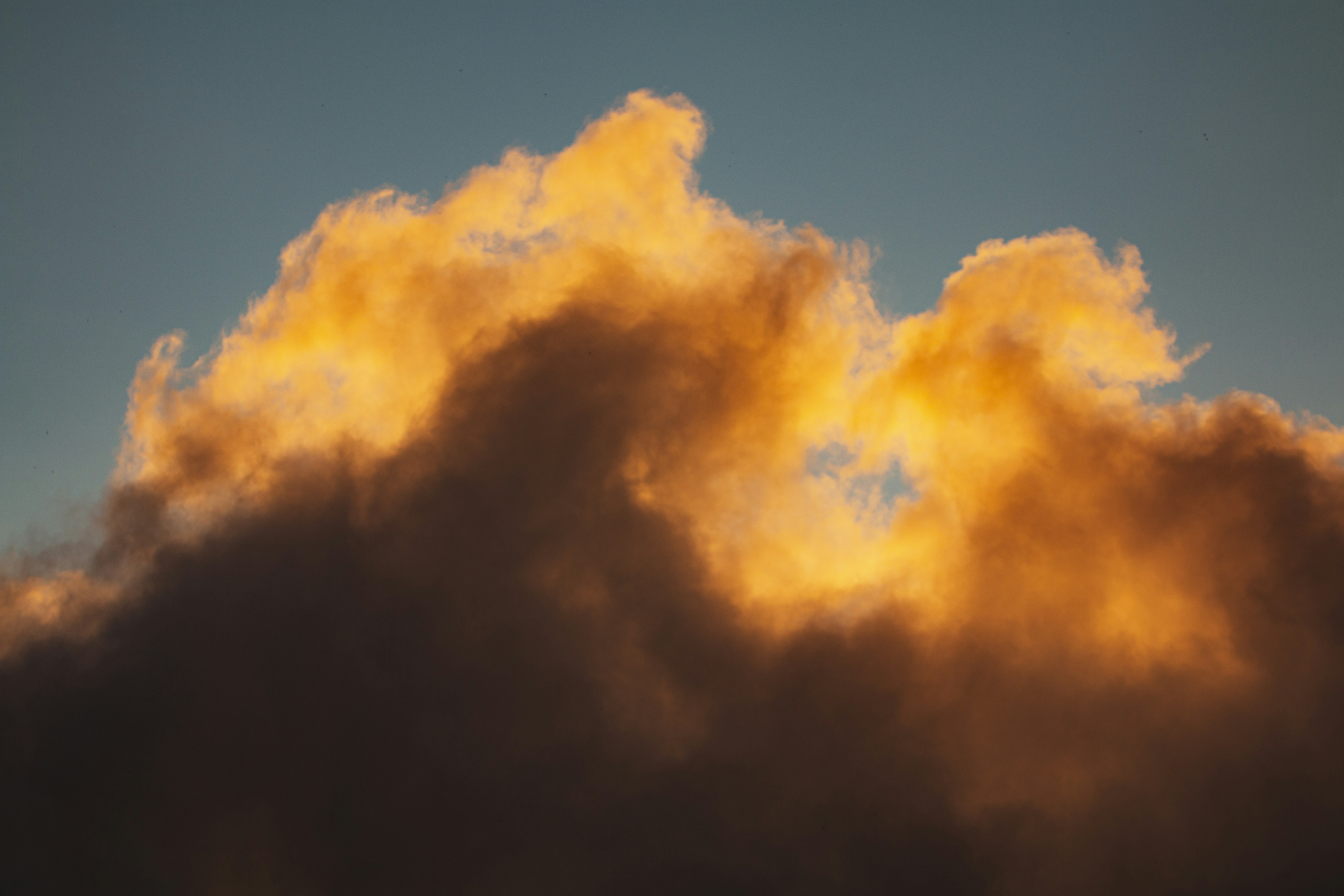 Photo by hamishkale_