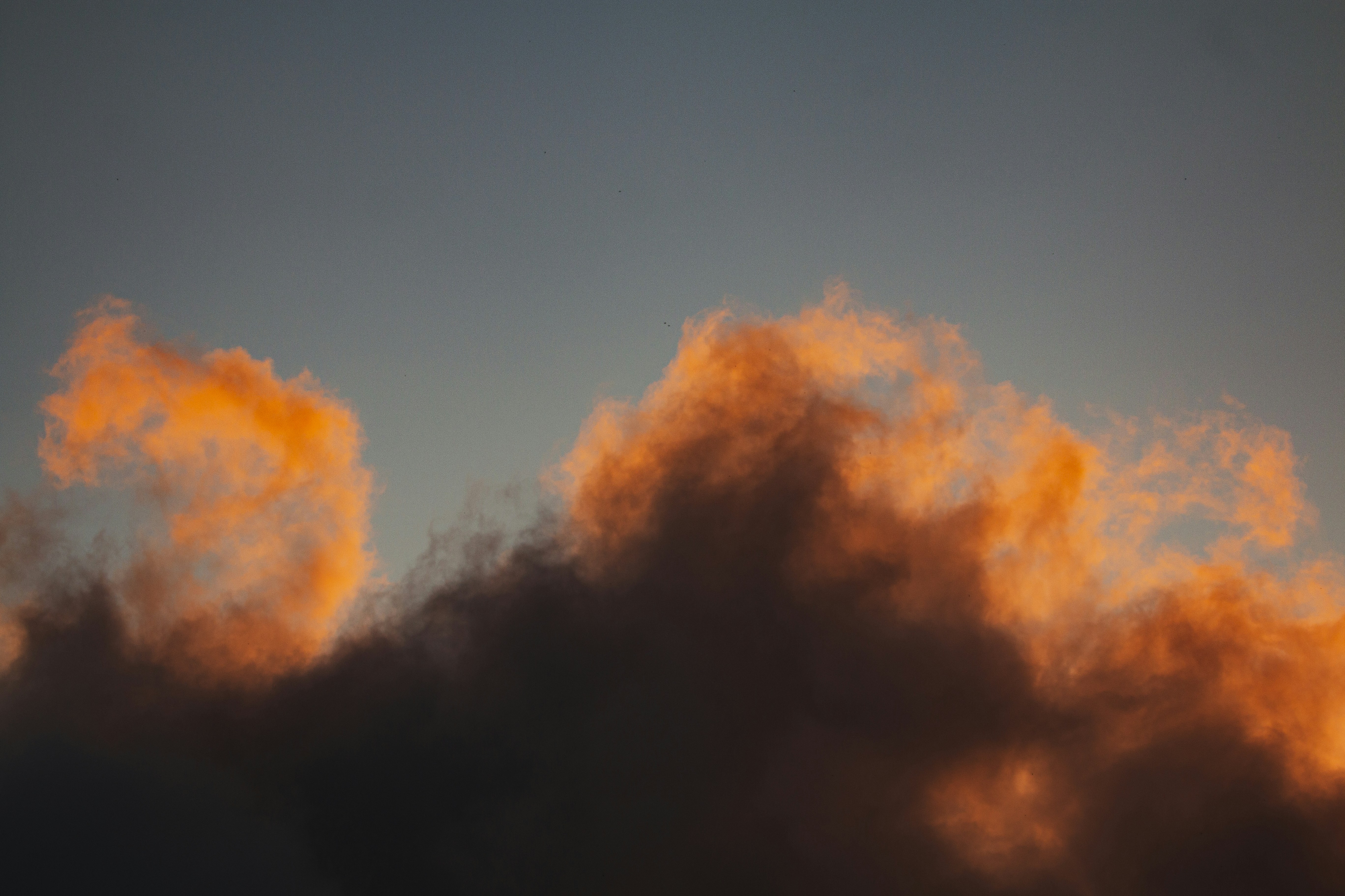 Photo by hamishkale_