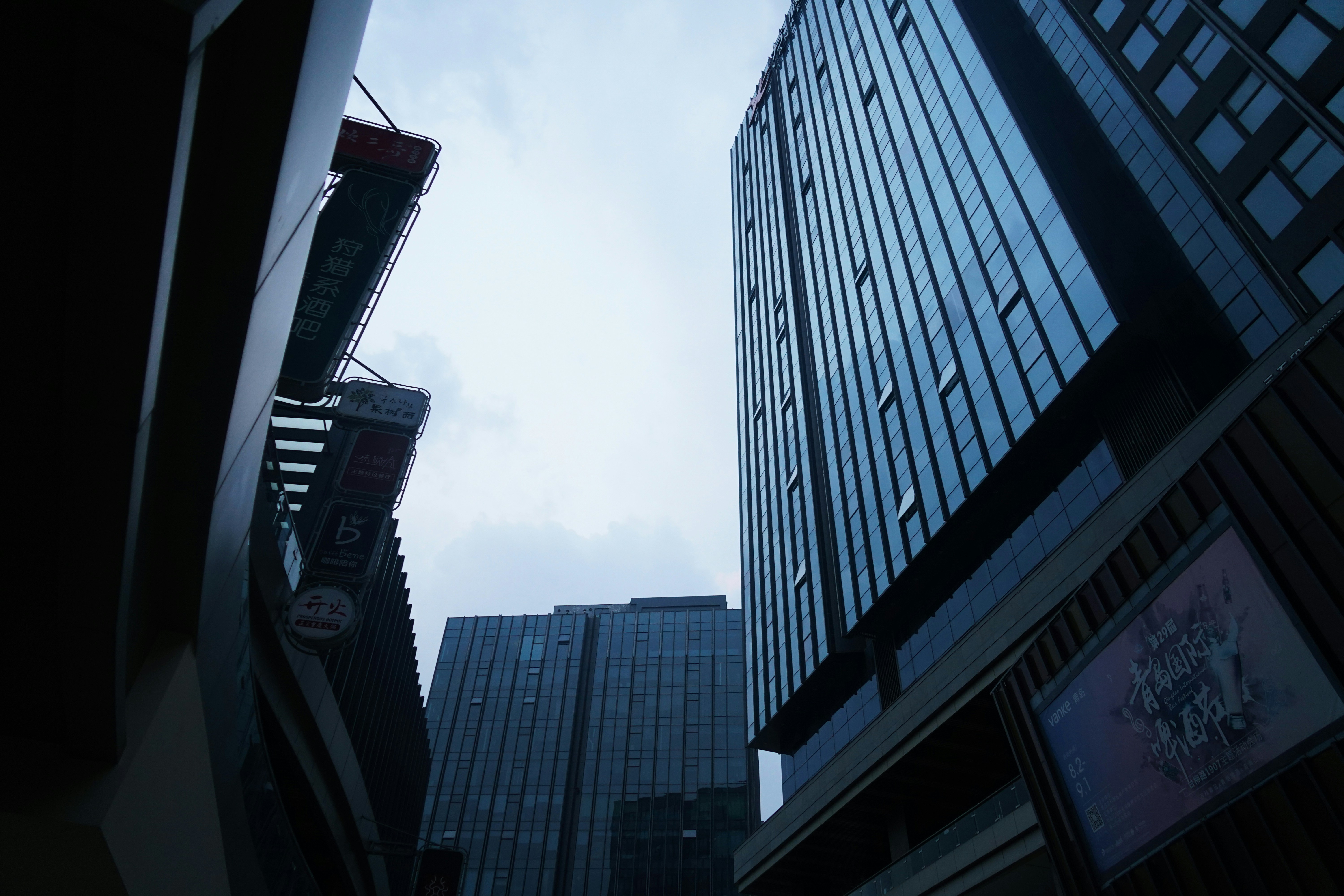 Photo by guo935809915