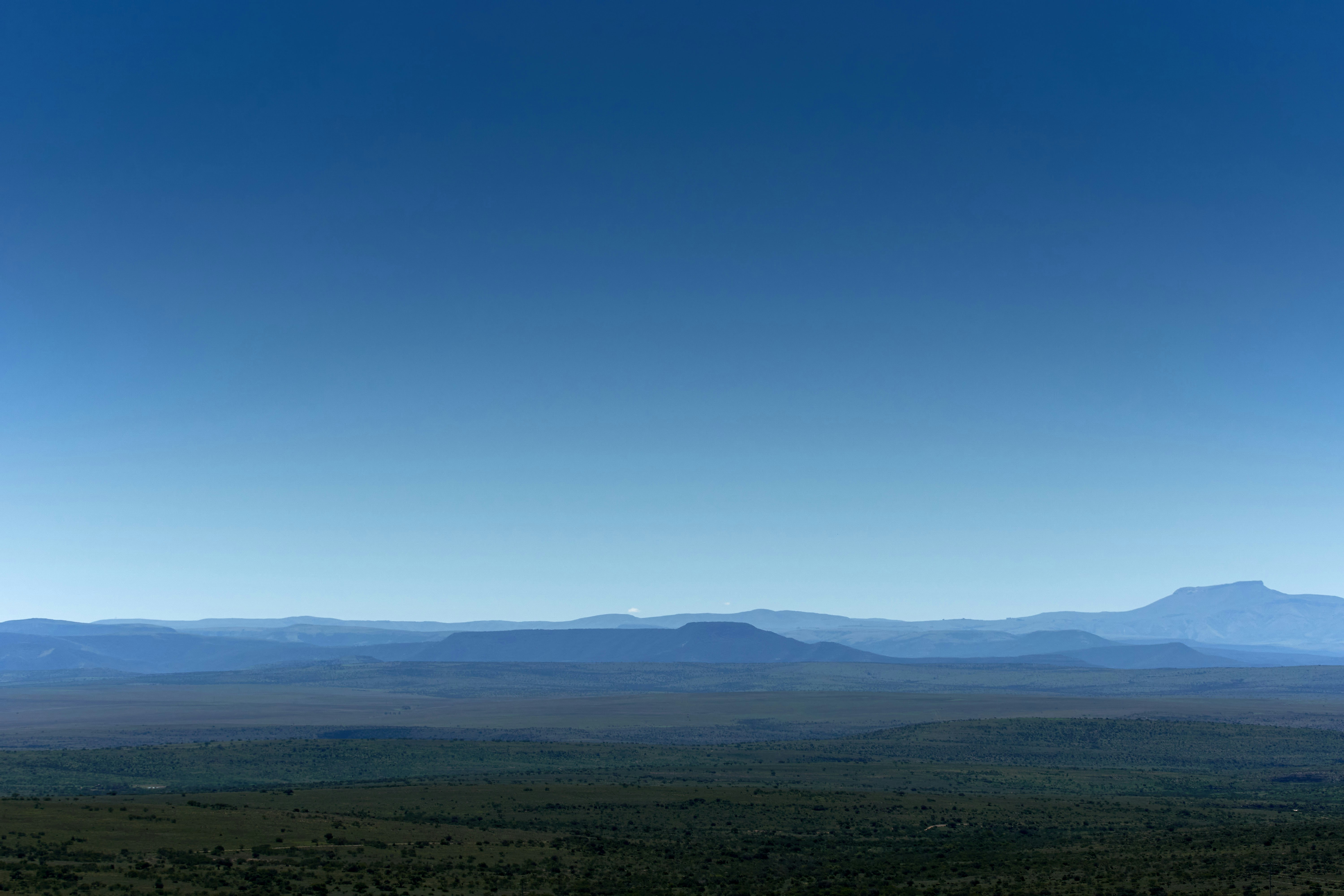 Photo by wolfgang_hasselmann