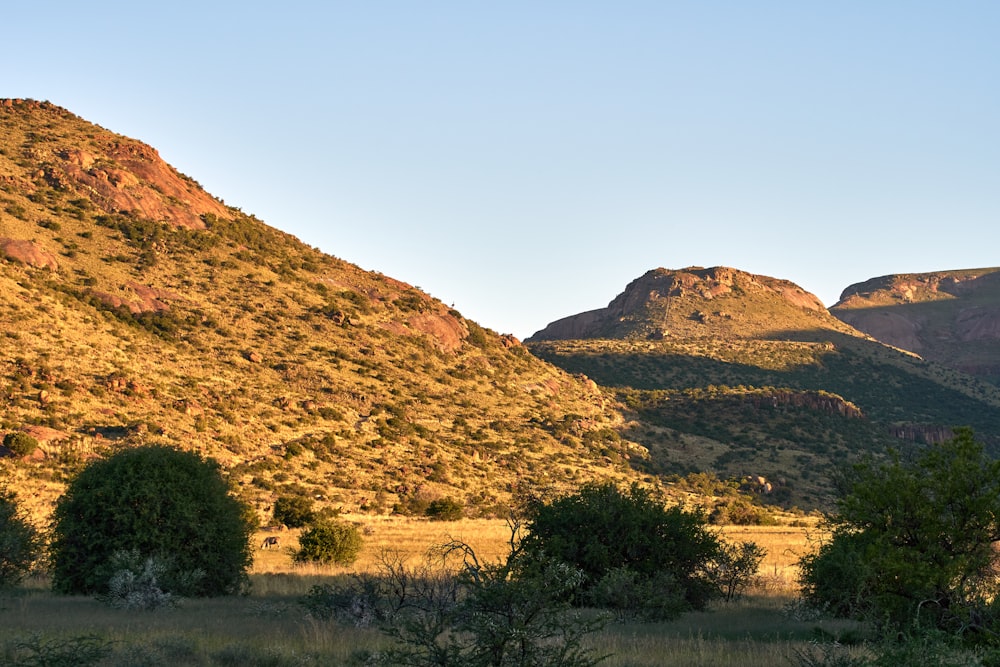 a grassy field with mountains in the background