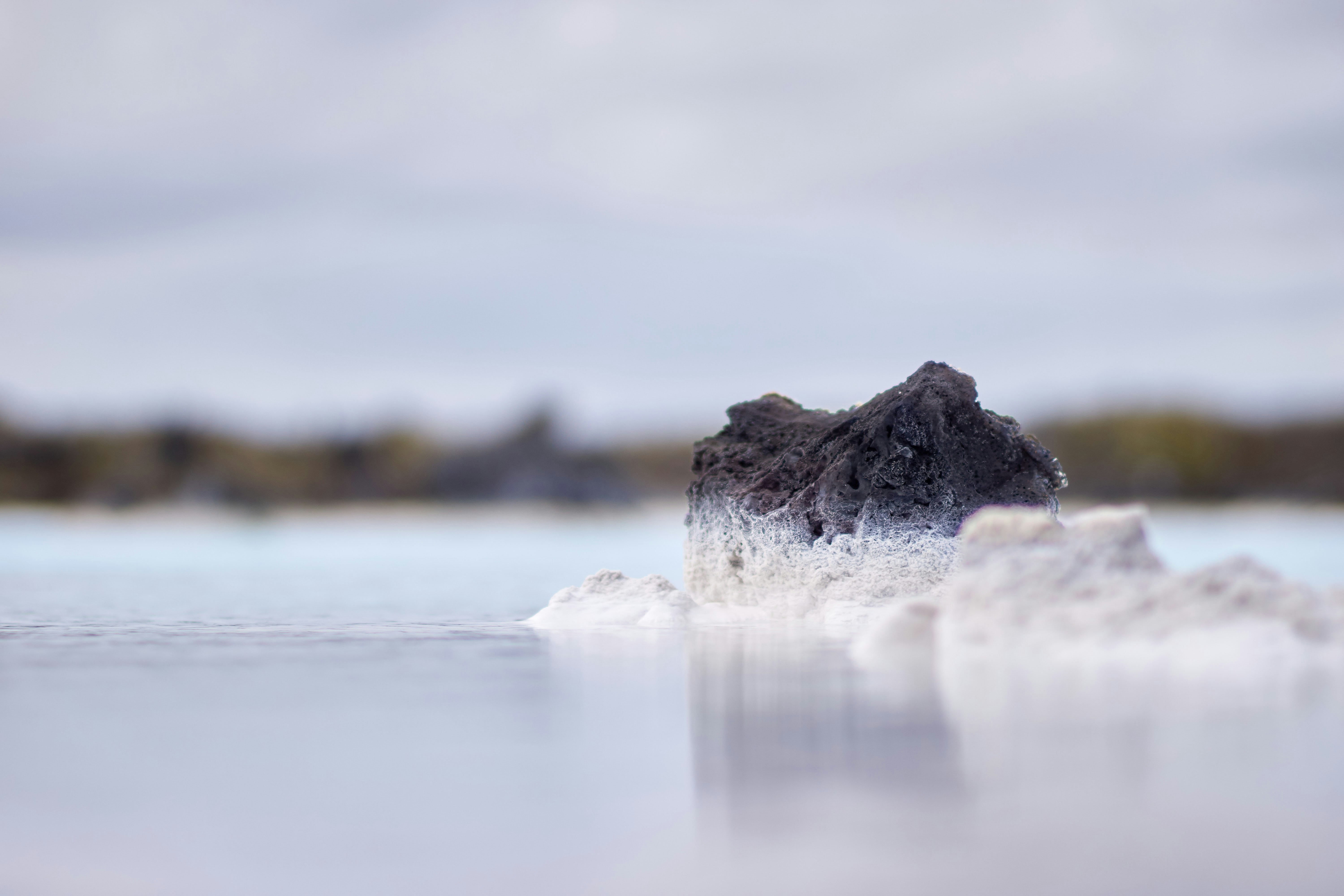 Photo by wolfgang_hasselmann