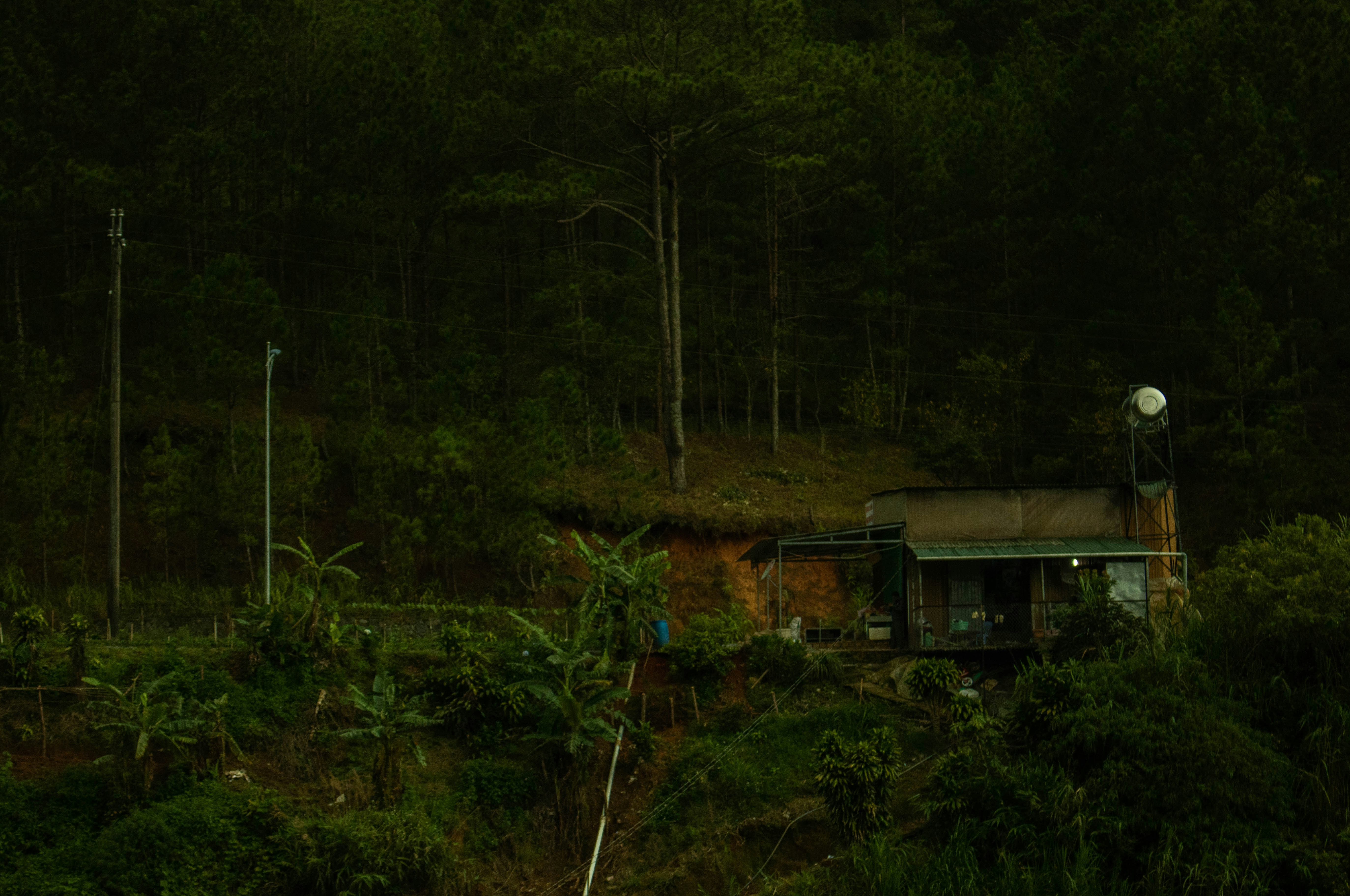 Power station camping nature, ilustrasi artikel Power Your Adventure: The Ultimate Guide to Off-Grid Camping with Portable Power Stations 7