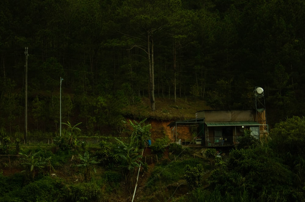 a small house in the middle of a forest