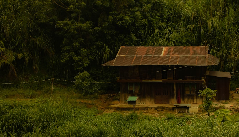 a small house in the middle of a forest