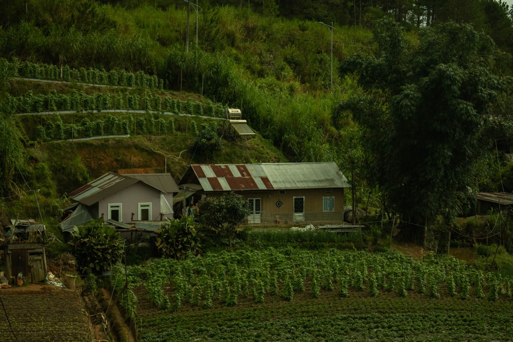 a house on a hill with a farm in the background
