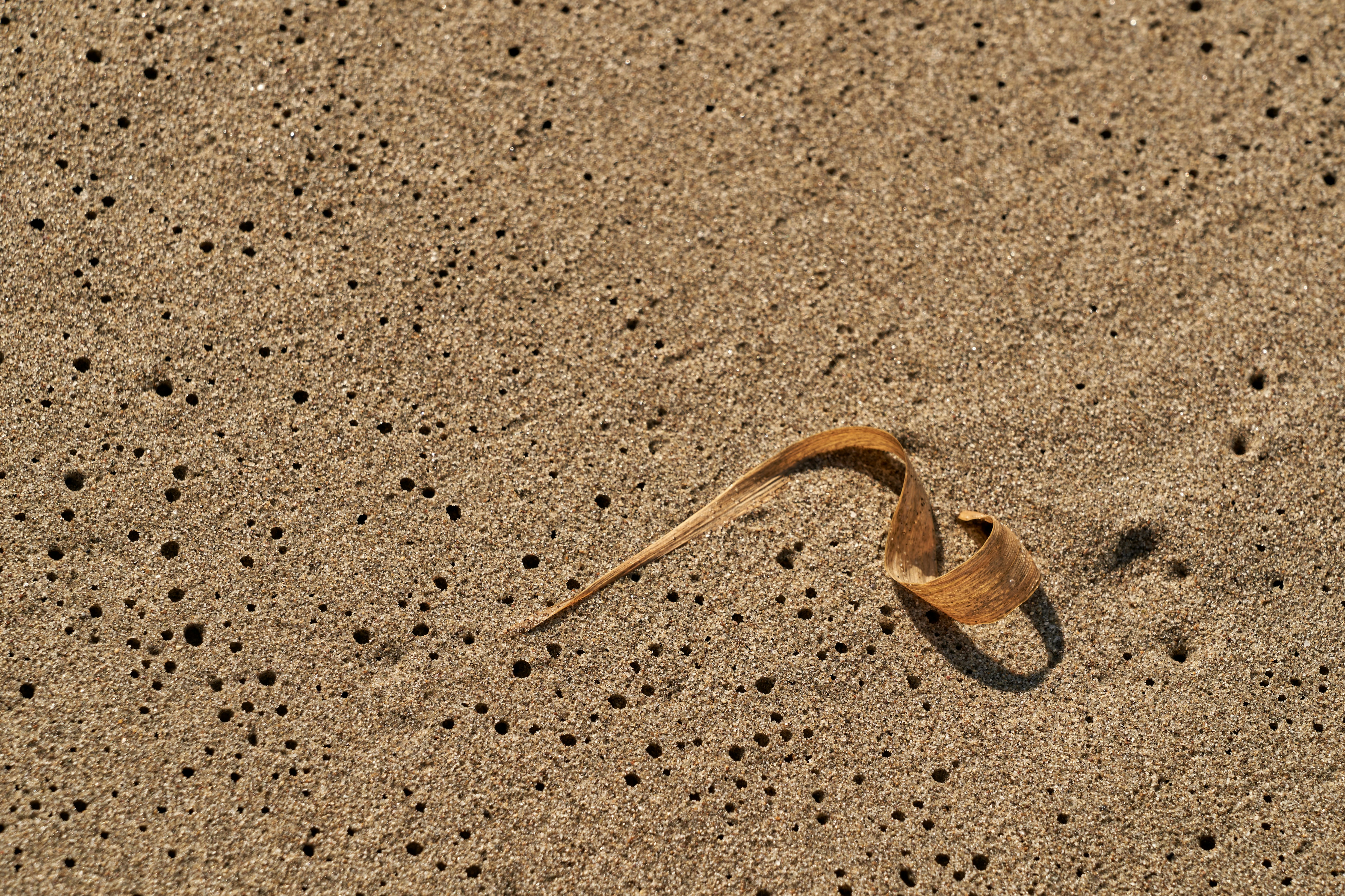 Photo by wolfgang_hasselmann