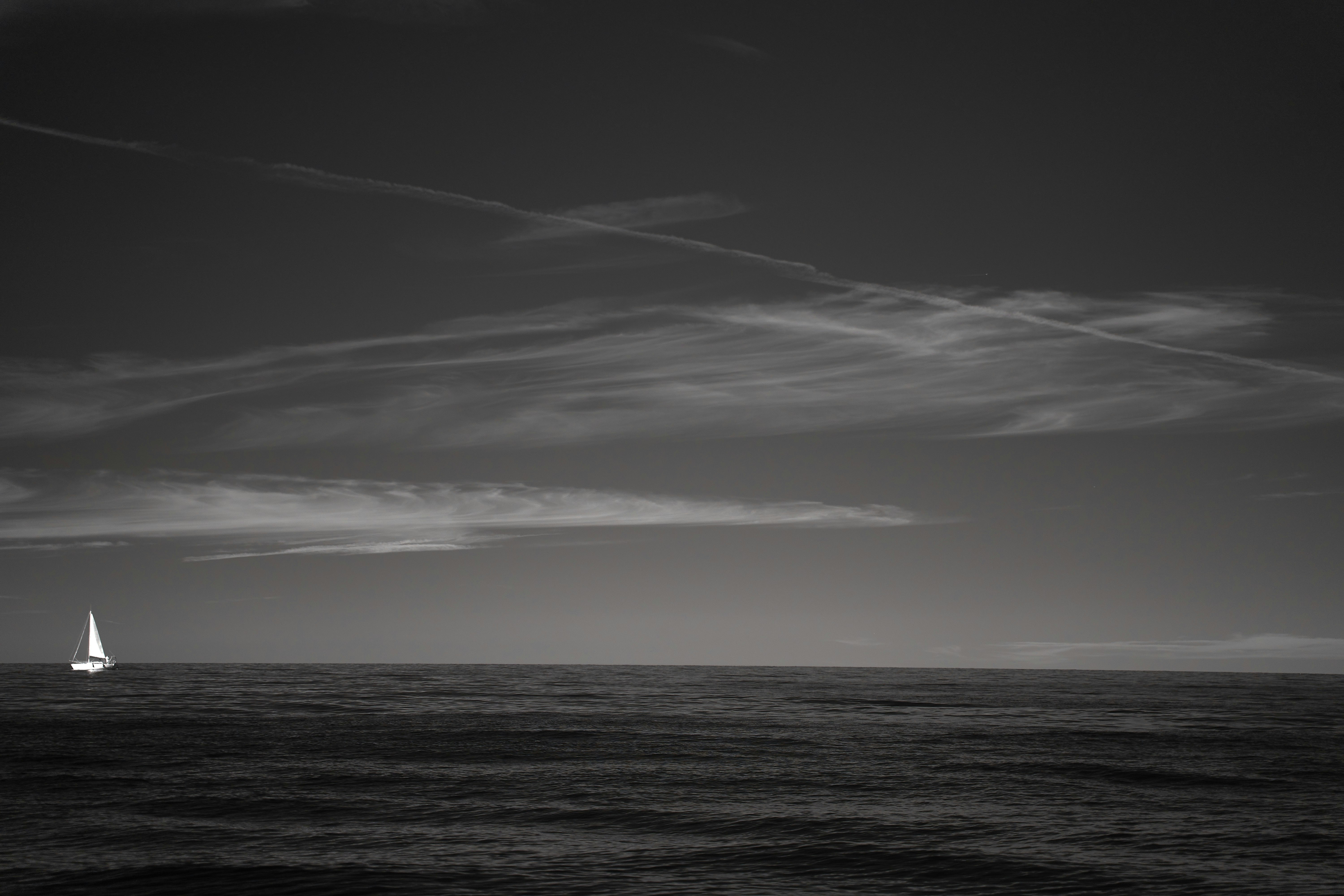 Photo by wolfgang_hasselmann