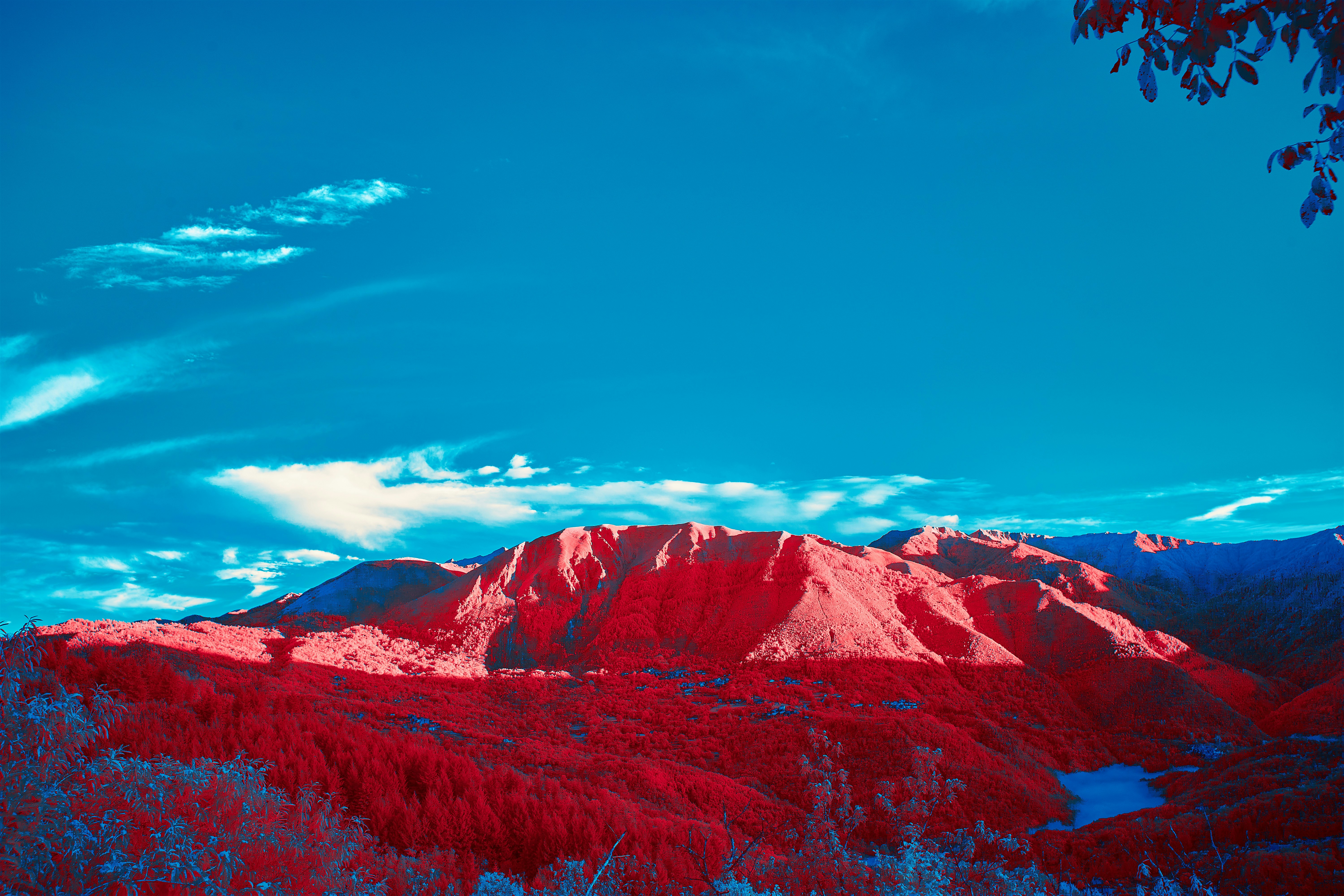 Photo by wolfgang_hasselmann