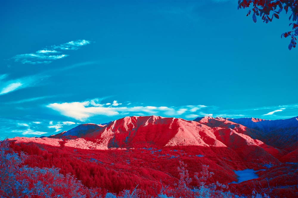 a view of a mountain with red trees in the foreground
