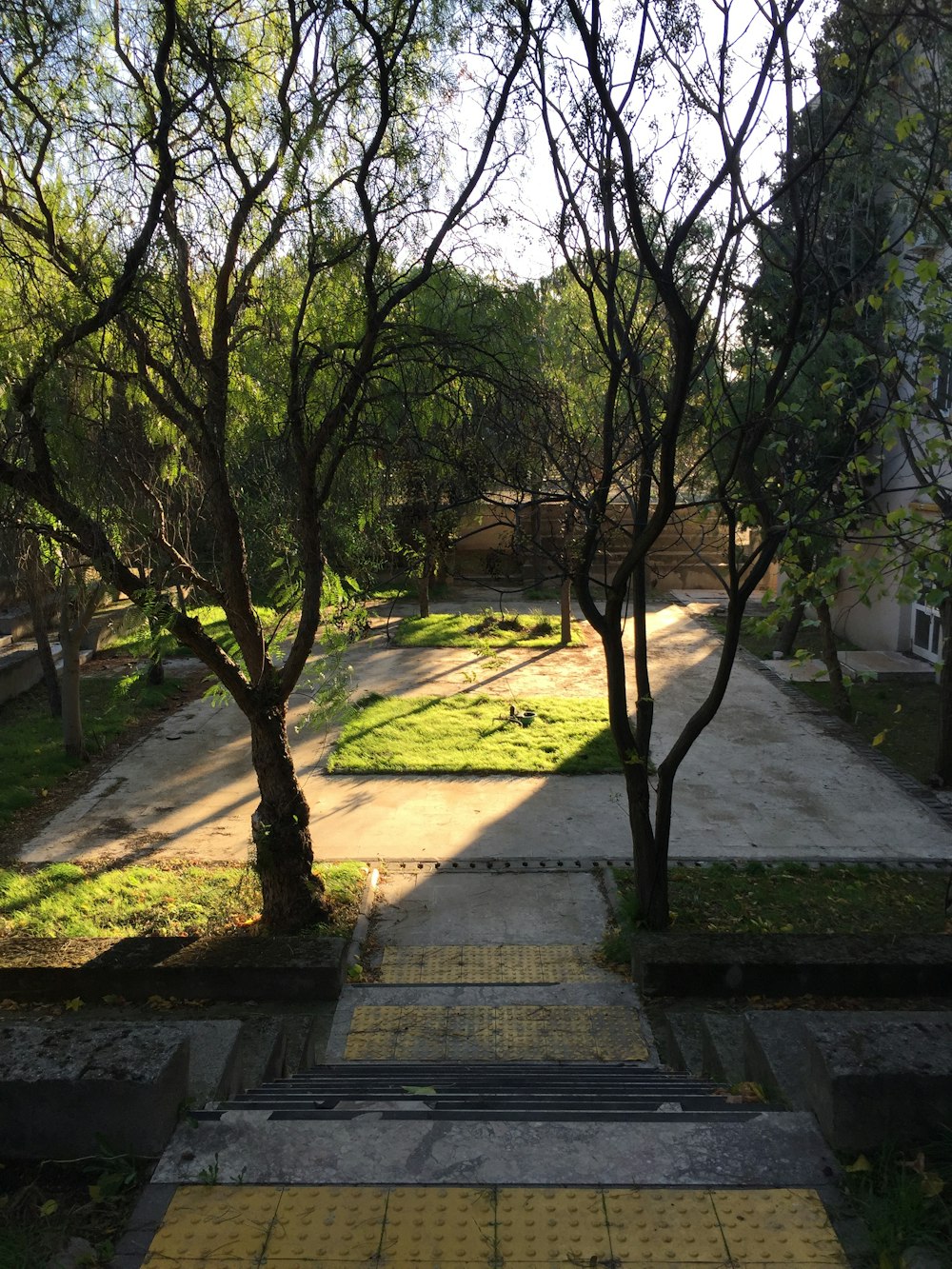 a view of a park with trees and a bench