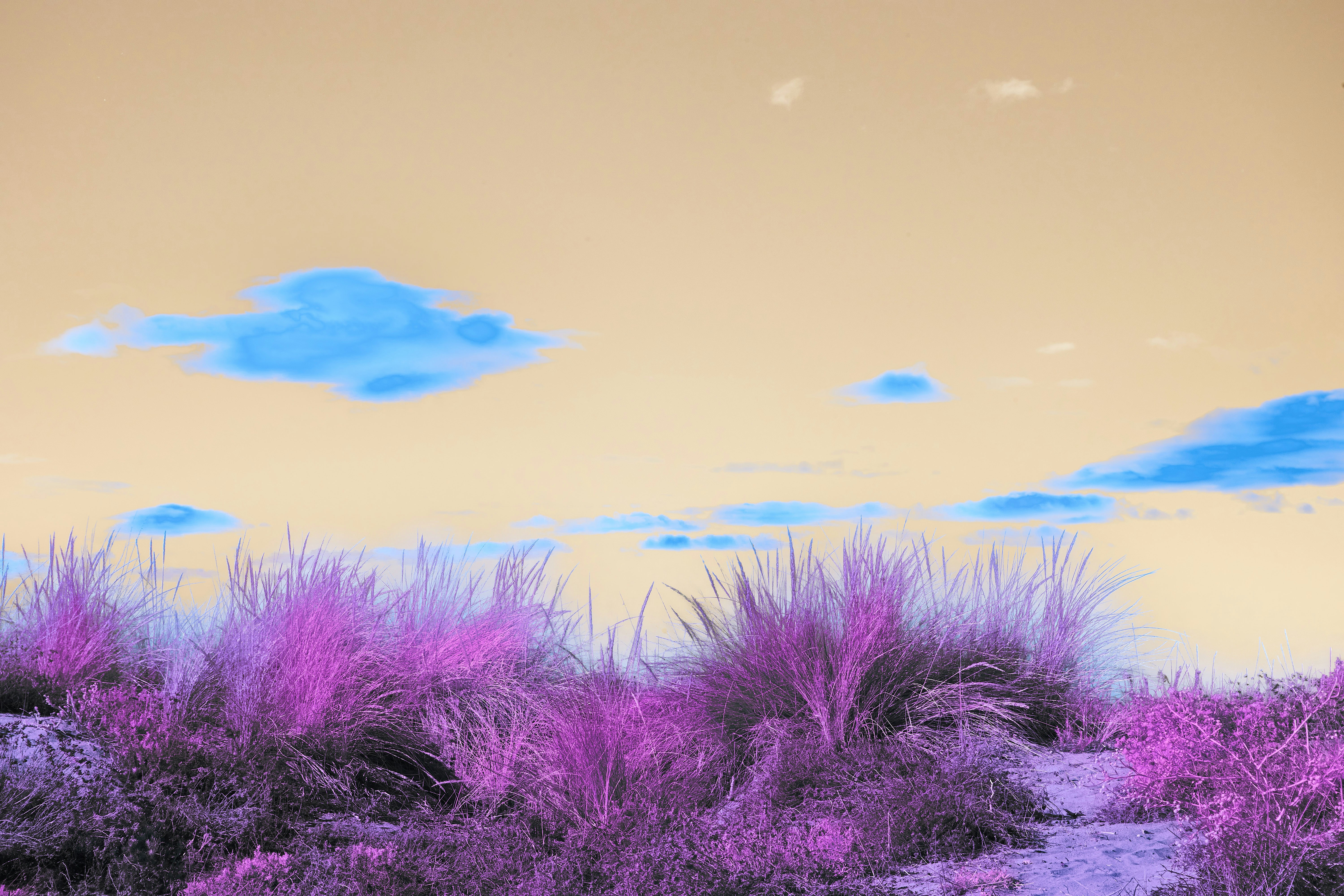 Photo by wolfgang_hasselmann