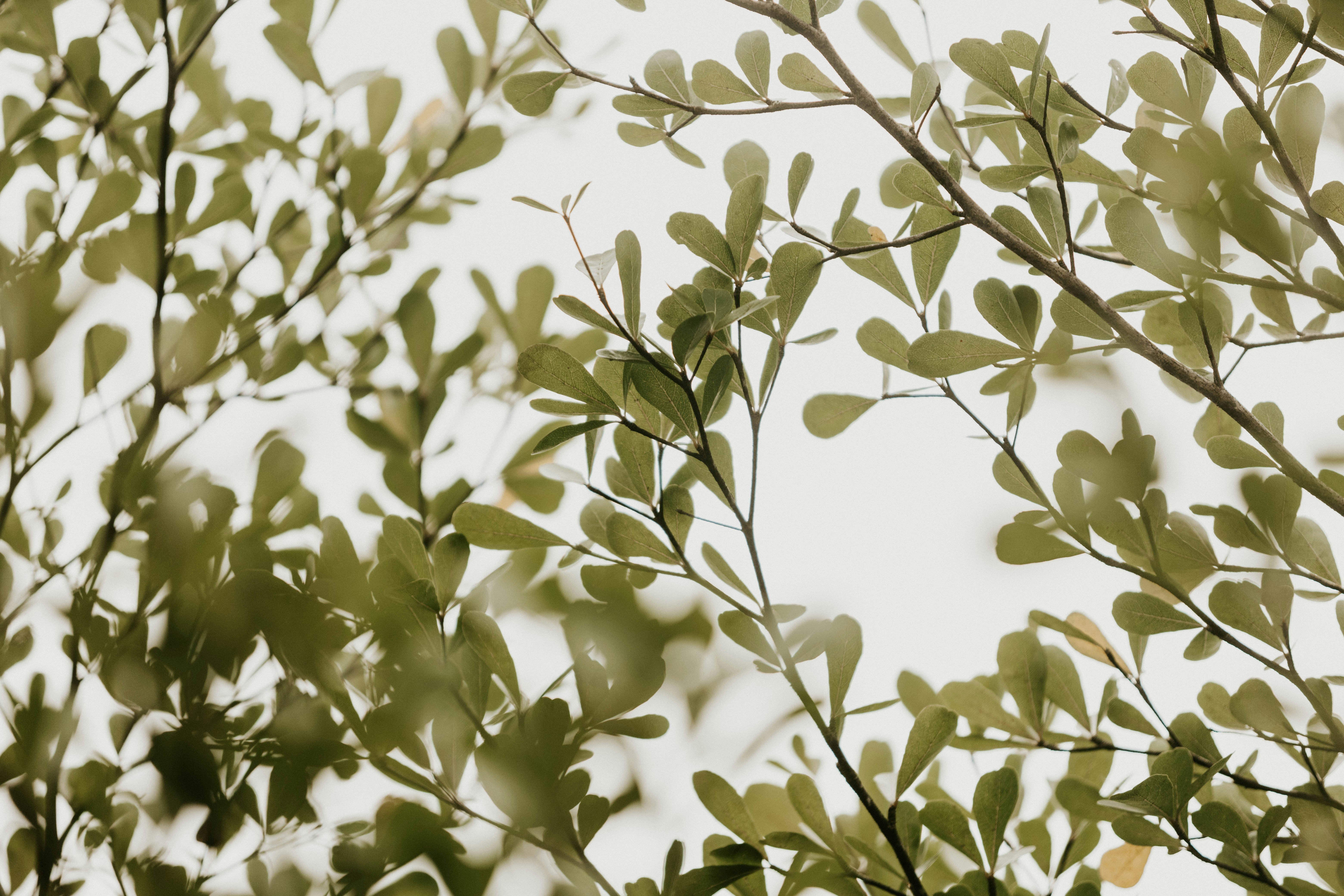 Photo by lamposaritonang