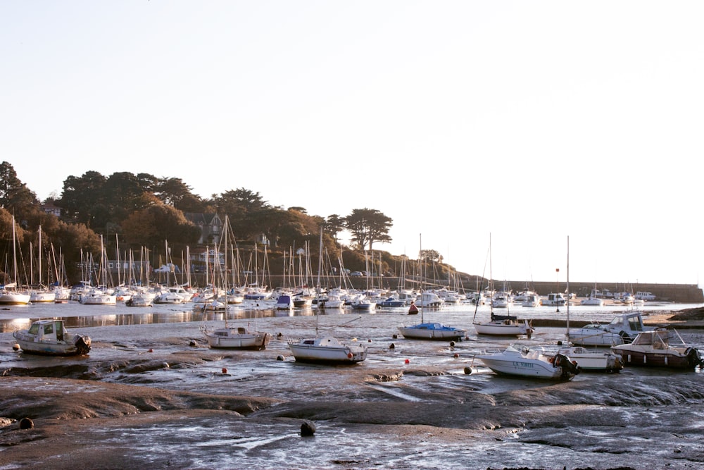 a bunch of boats that are in the water