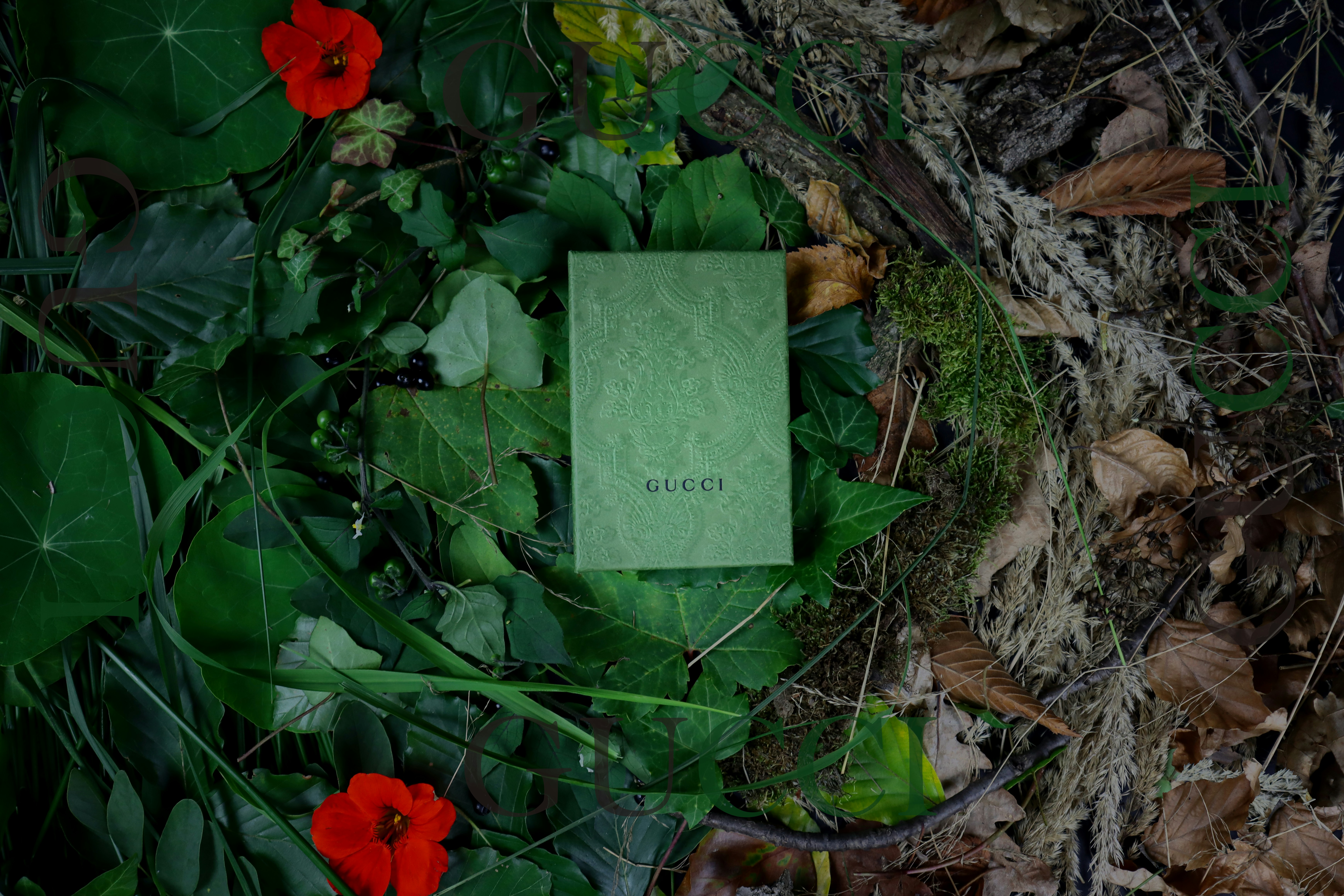 a piece of green paper surrounded by leaves and flowers