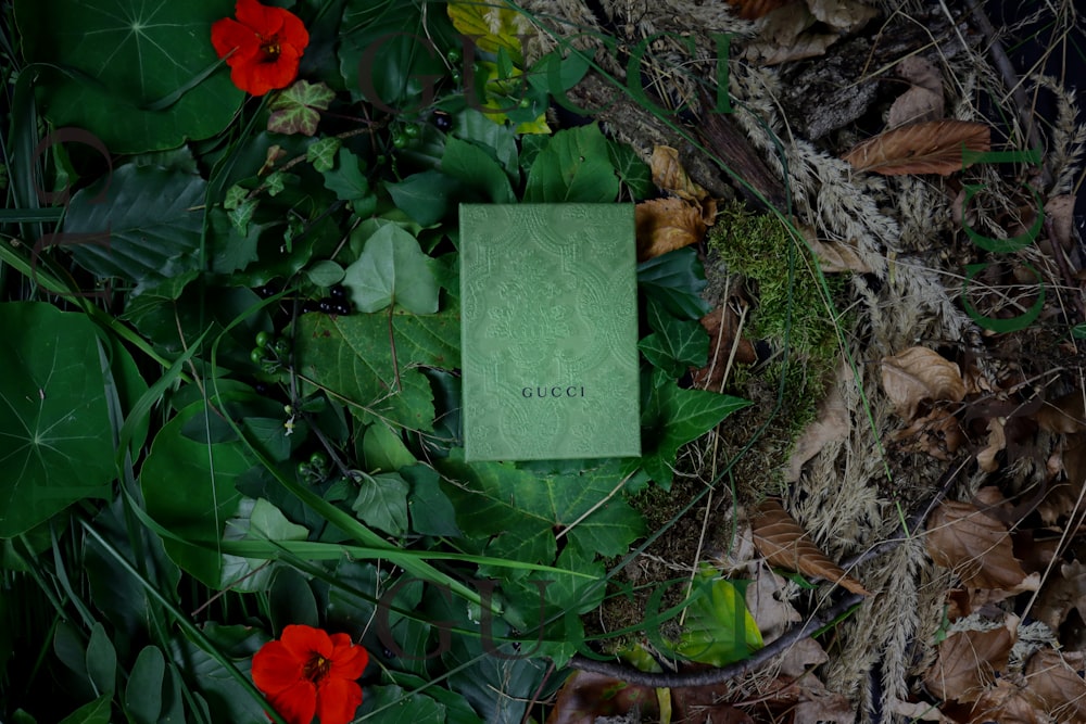 a piece of green paper surrounded by leaves and flowers