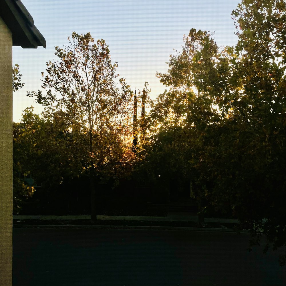 a view of trees through a mesh fence