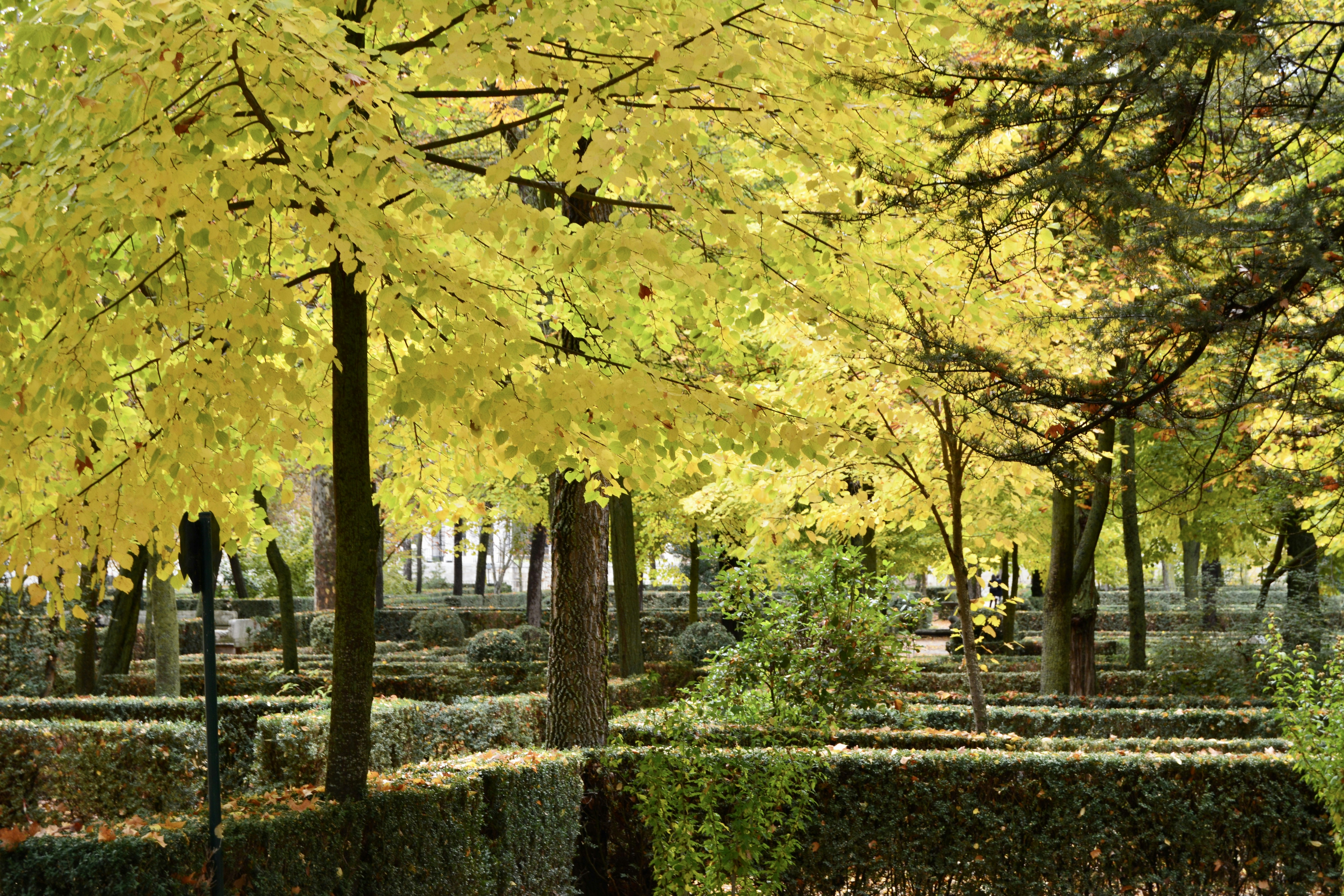 Photo by solmedoariza