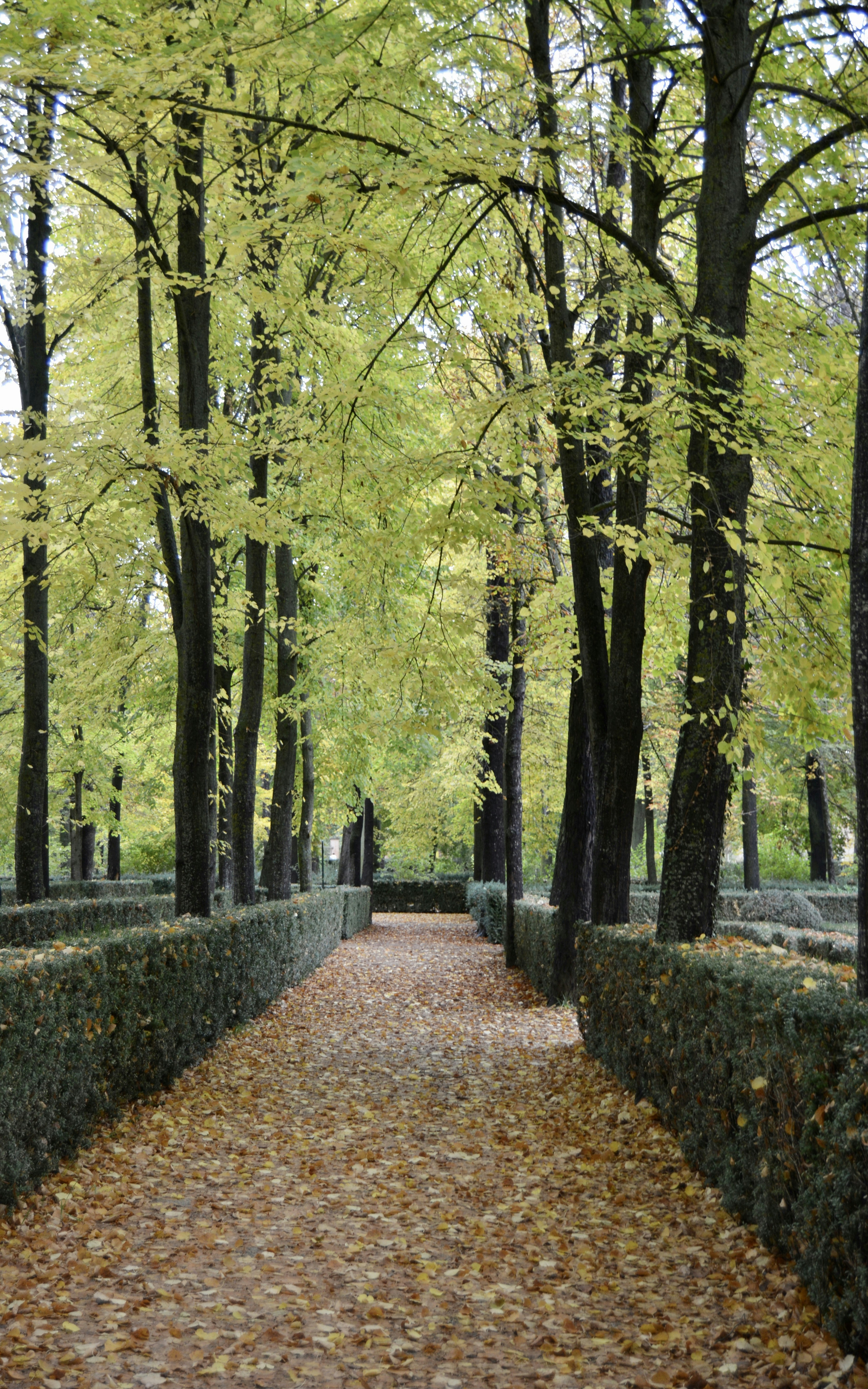 Photo by solmedoariza