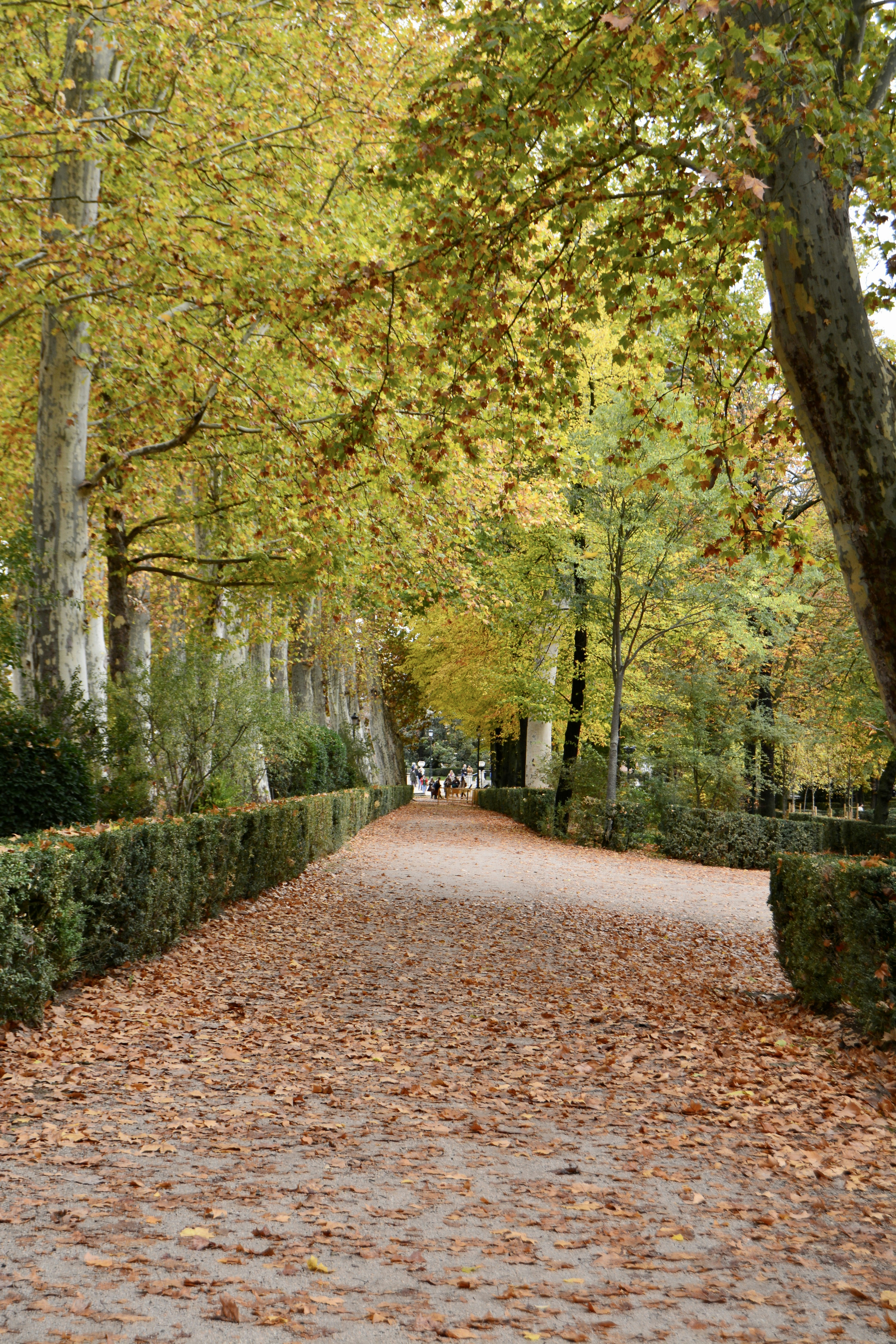 Photo by solmedoariza