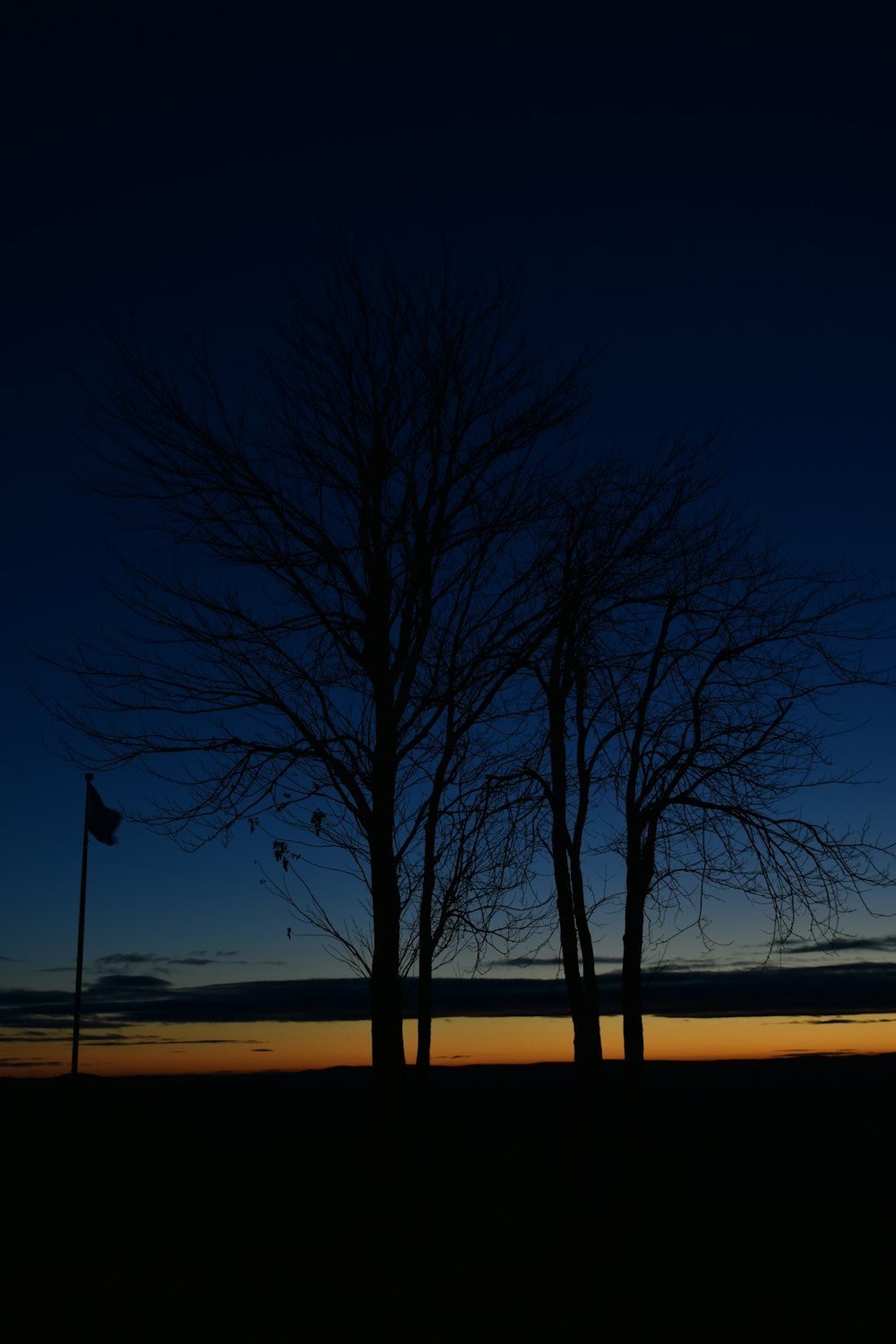 a couple of trees that are standing in the grass