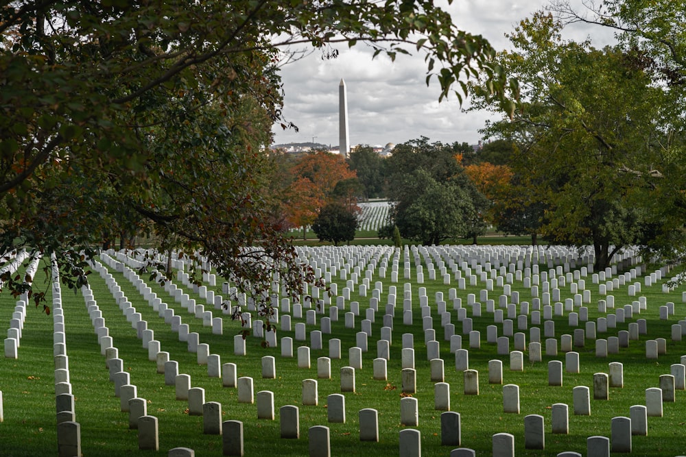 a cemetery with rows of headstones and trees