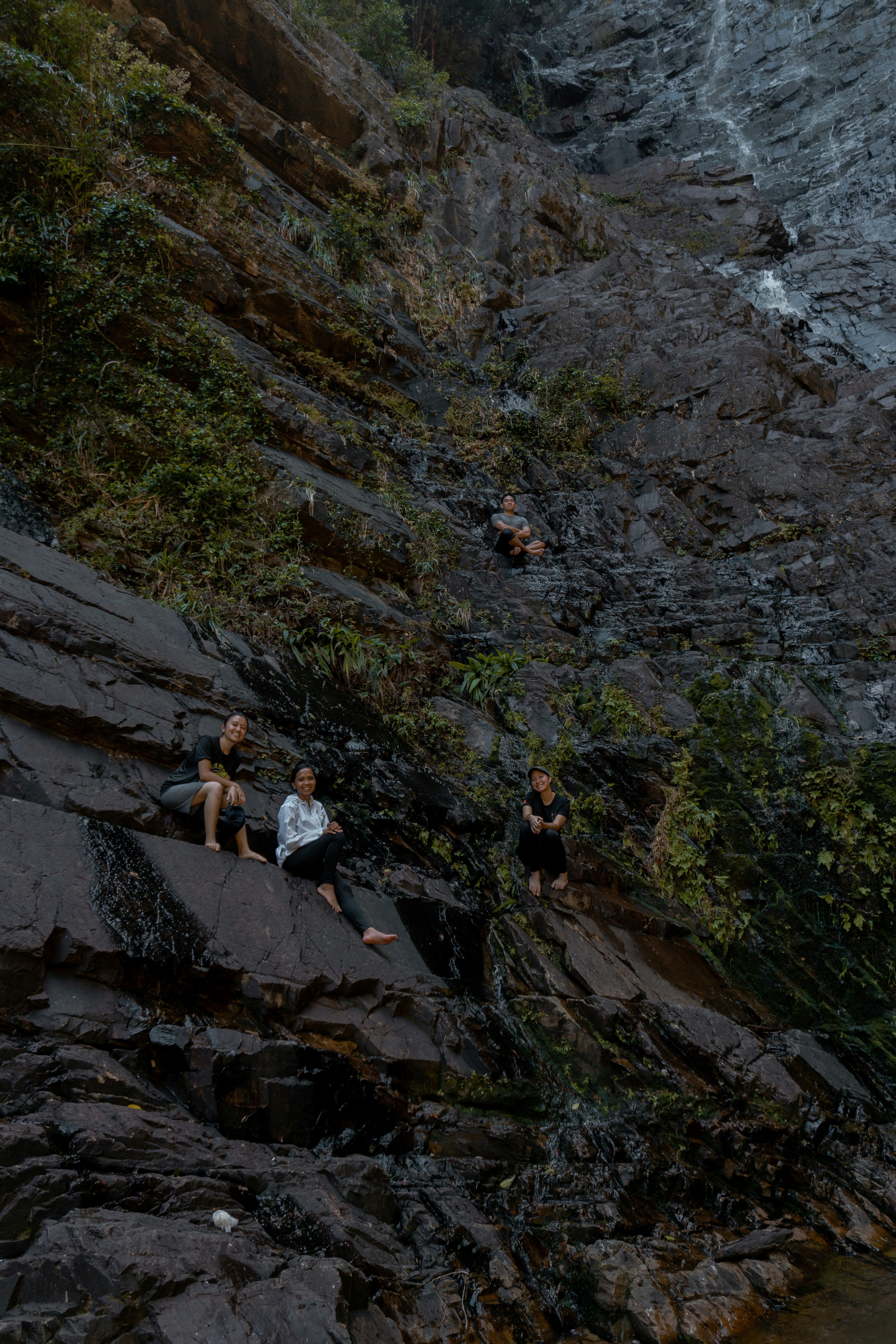 Family enjoying a zipline adventure in Maui's rainforest