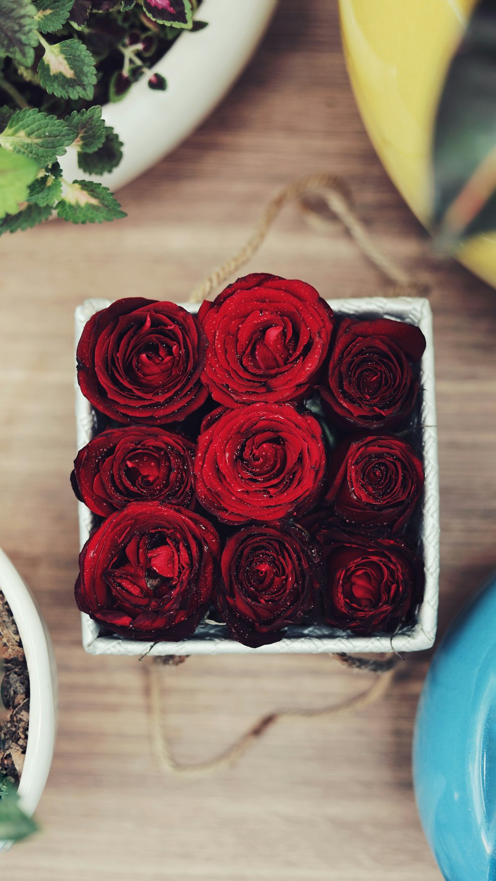 a box of red roses on a table