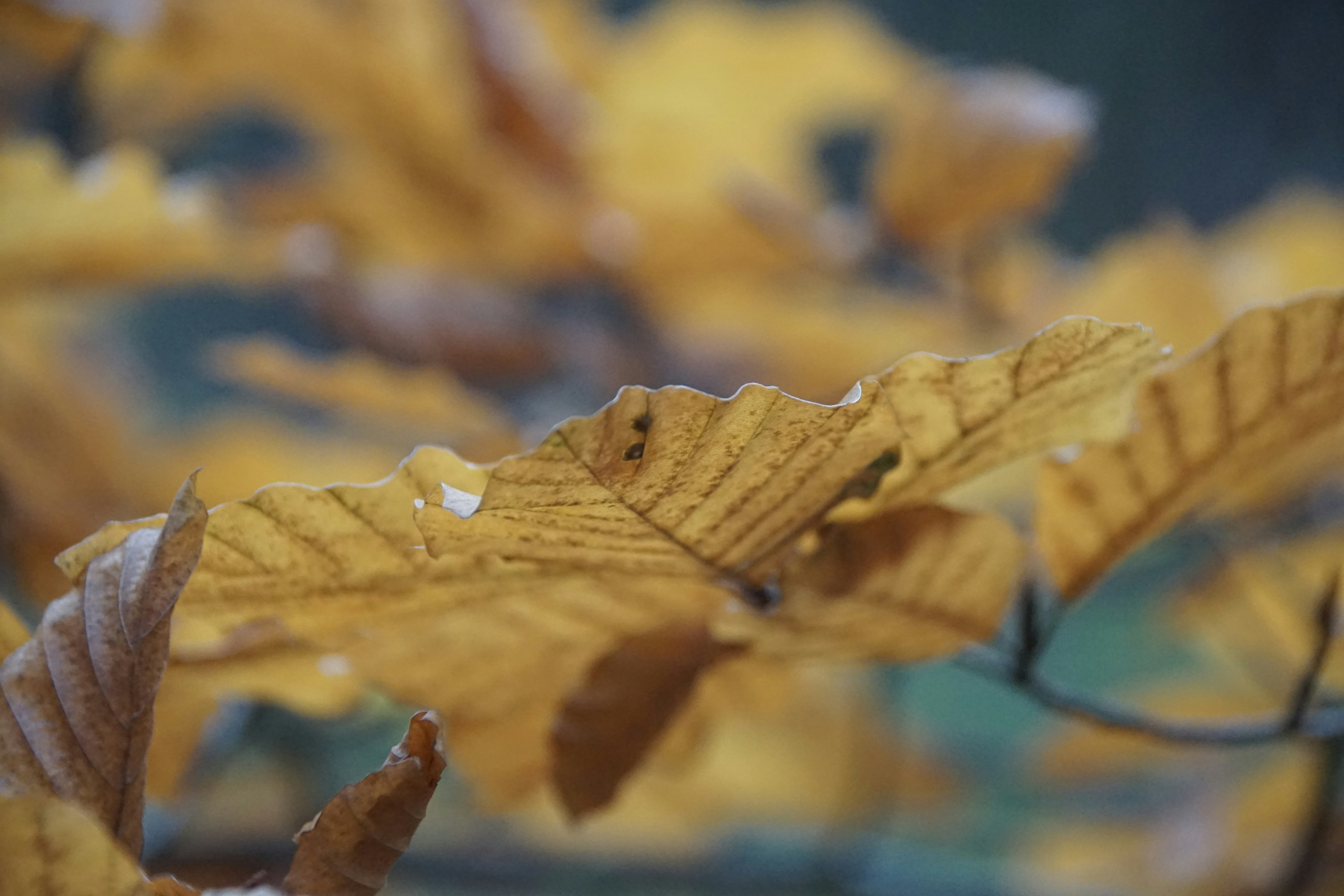 Photo by danielschuh