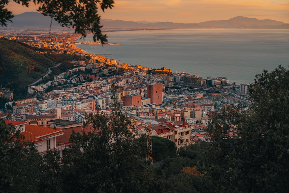 a view of a city with a body of water in the background