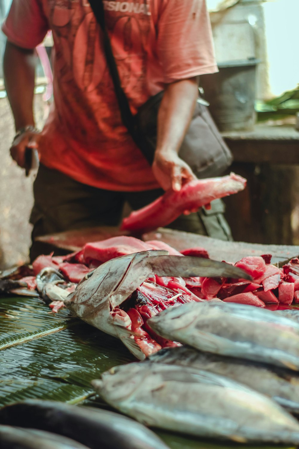 a man standing over a pile of fish