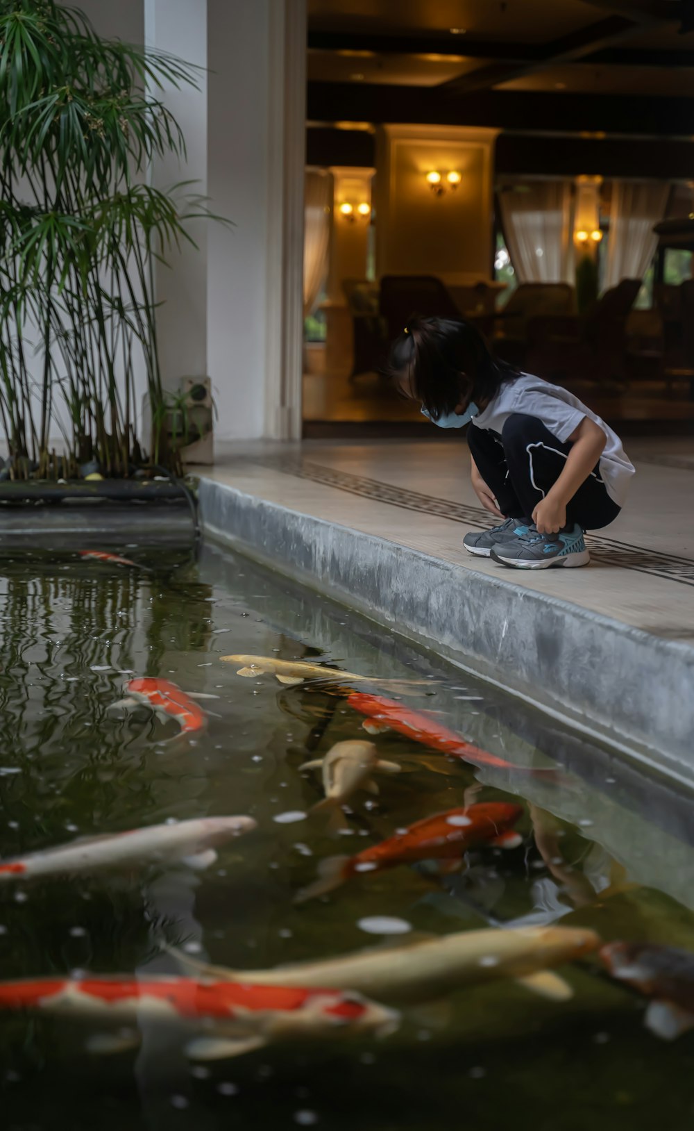 a person kneeling down next to a pond filled with fish