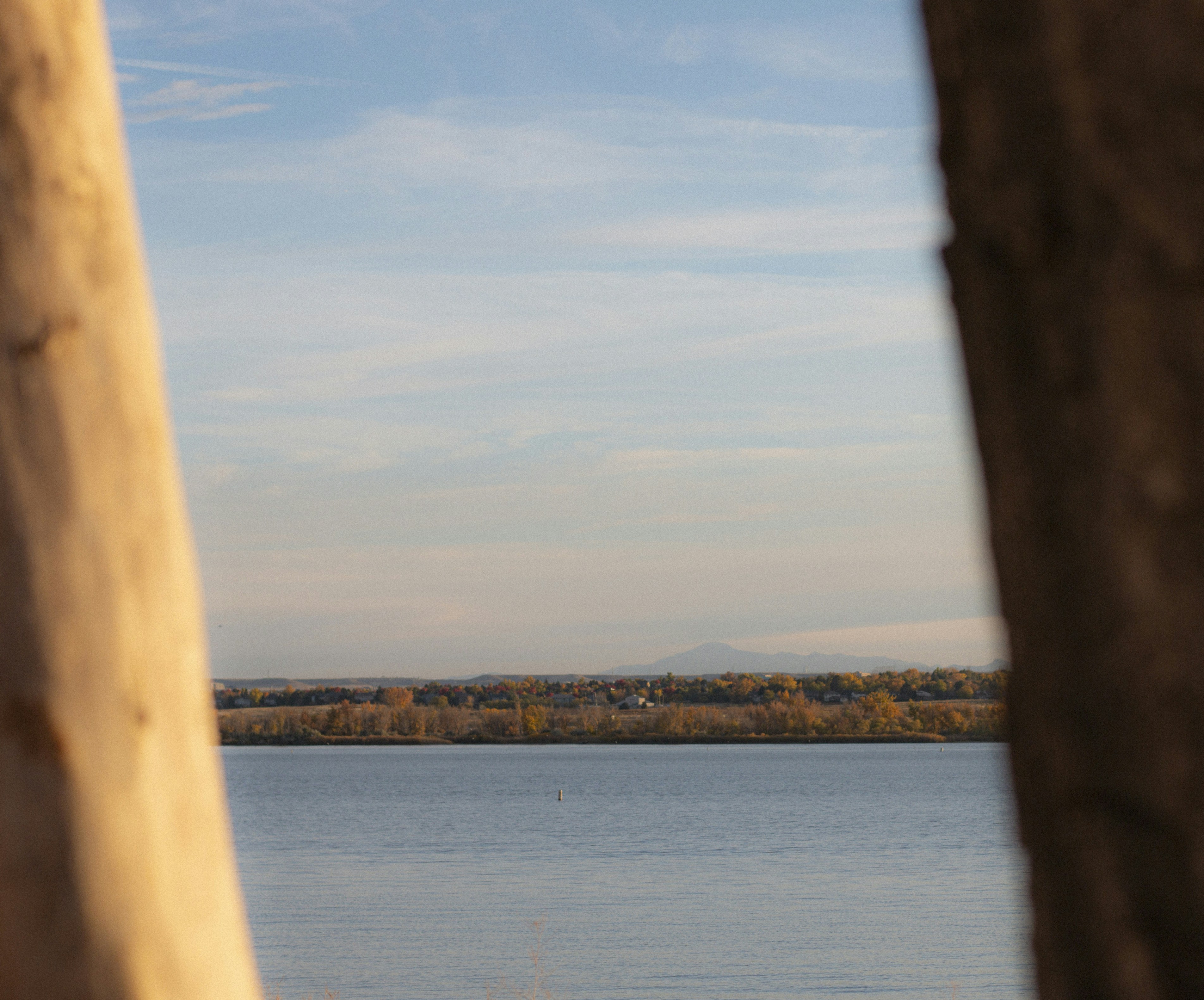 Photo by jmarkham828