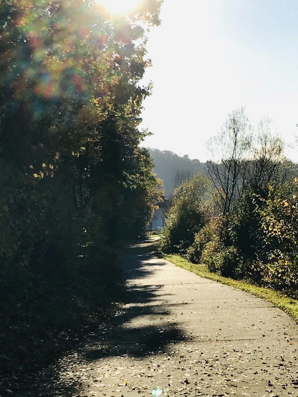 the sun shines brightly on a path in the woods