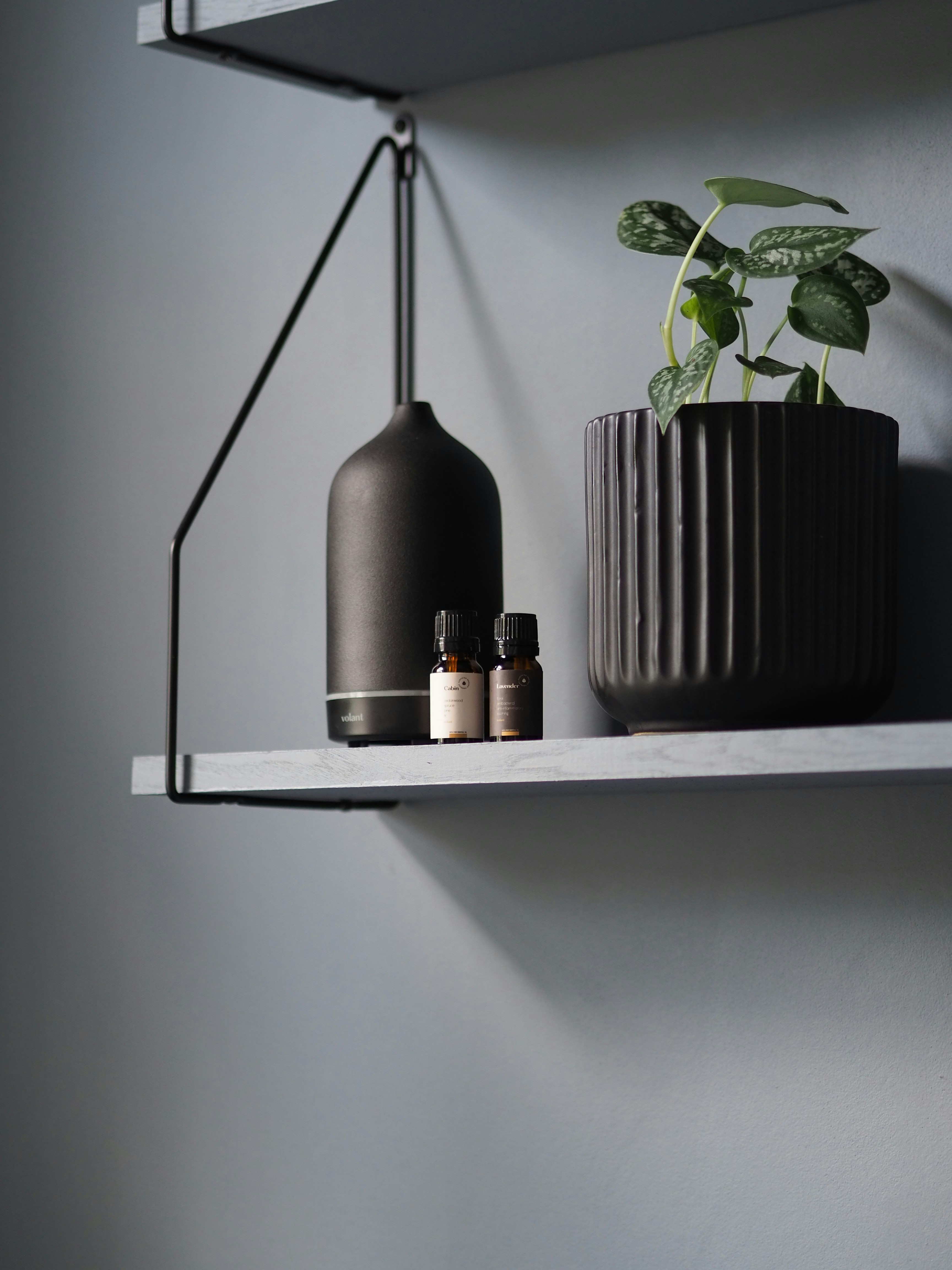 Photo by volantaroma