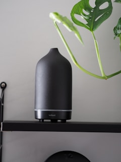 A sleek ultrasonic diffuser emitting a gentle mist in a minimalist room with slate grey and botanical green accents