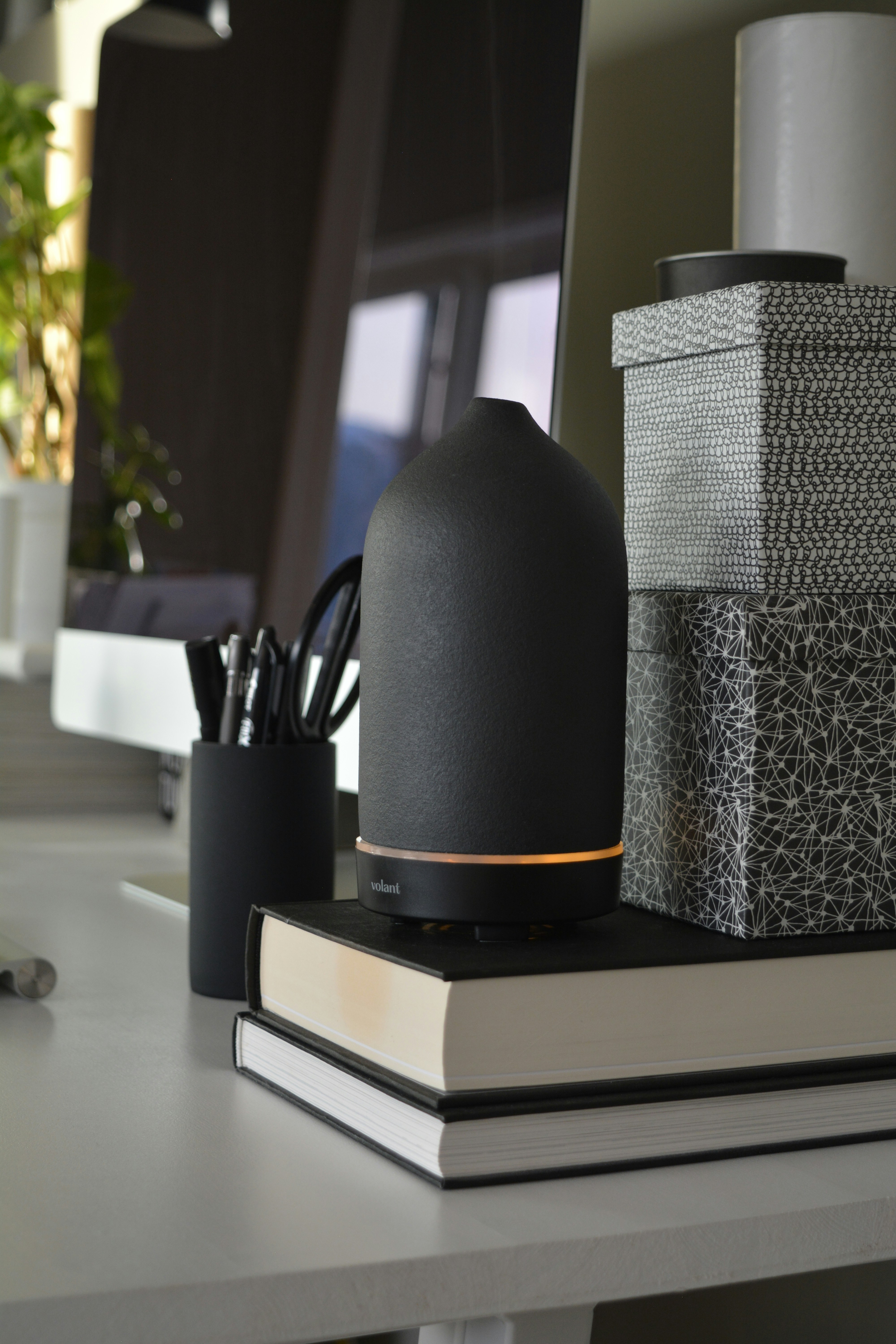 Photo by volantaroma