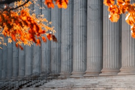 a building with columns and steps in front of it