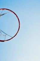 A sleek basketball hoop set up in a driveway with a clear sky overhead.