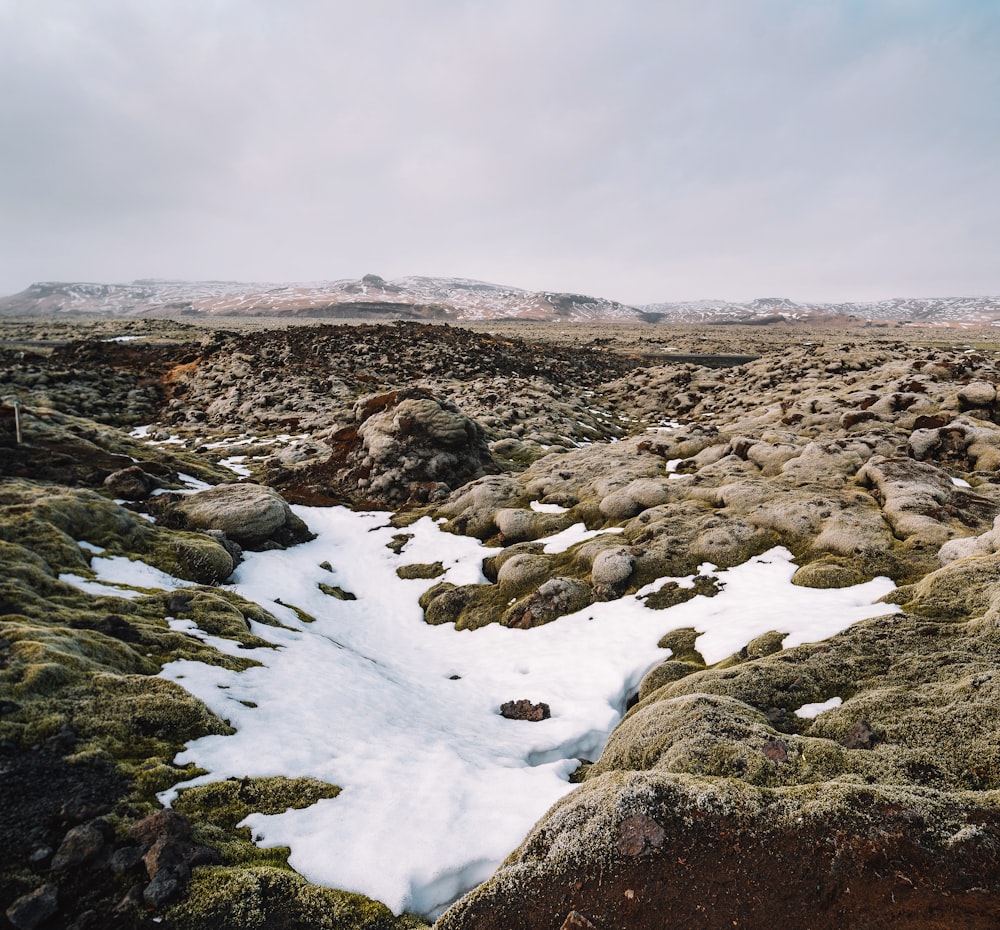 a rocky area covered in snow and green moss