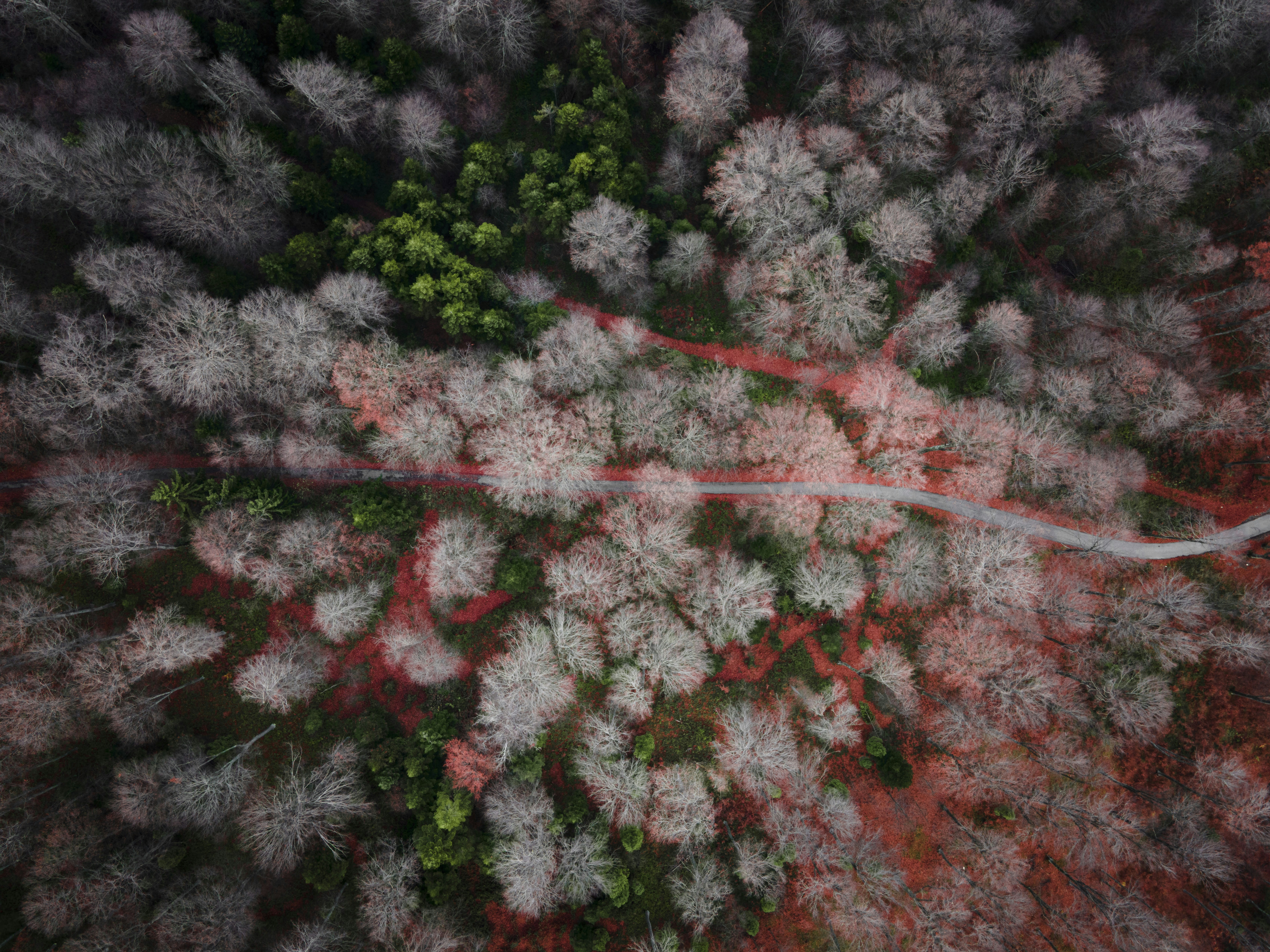 Photo by djordjevukojicic