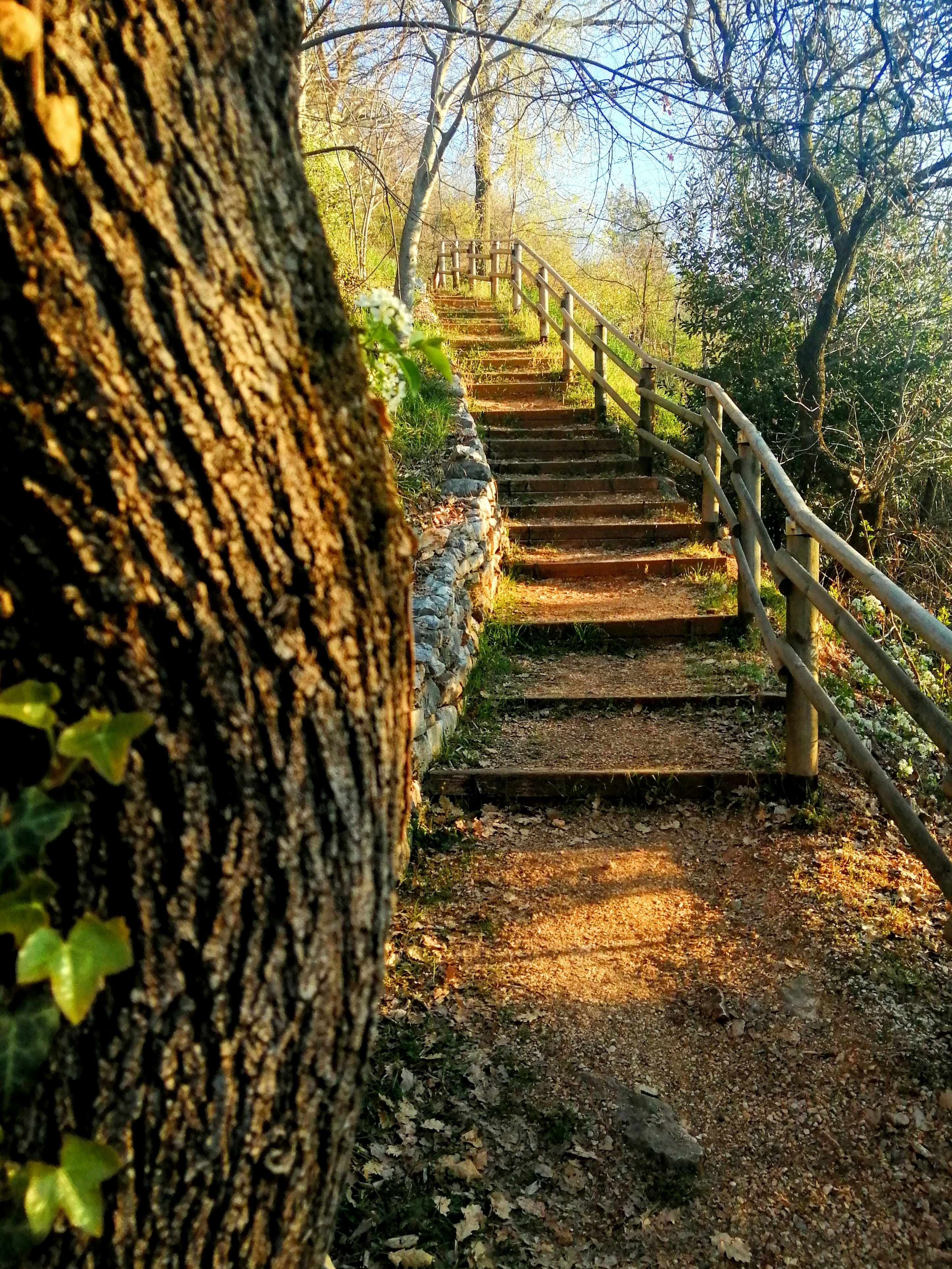 Photo by melchisedec7