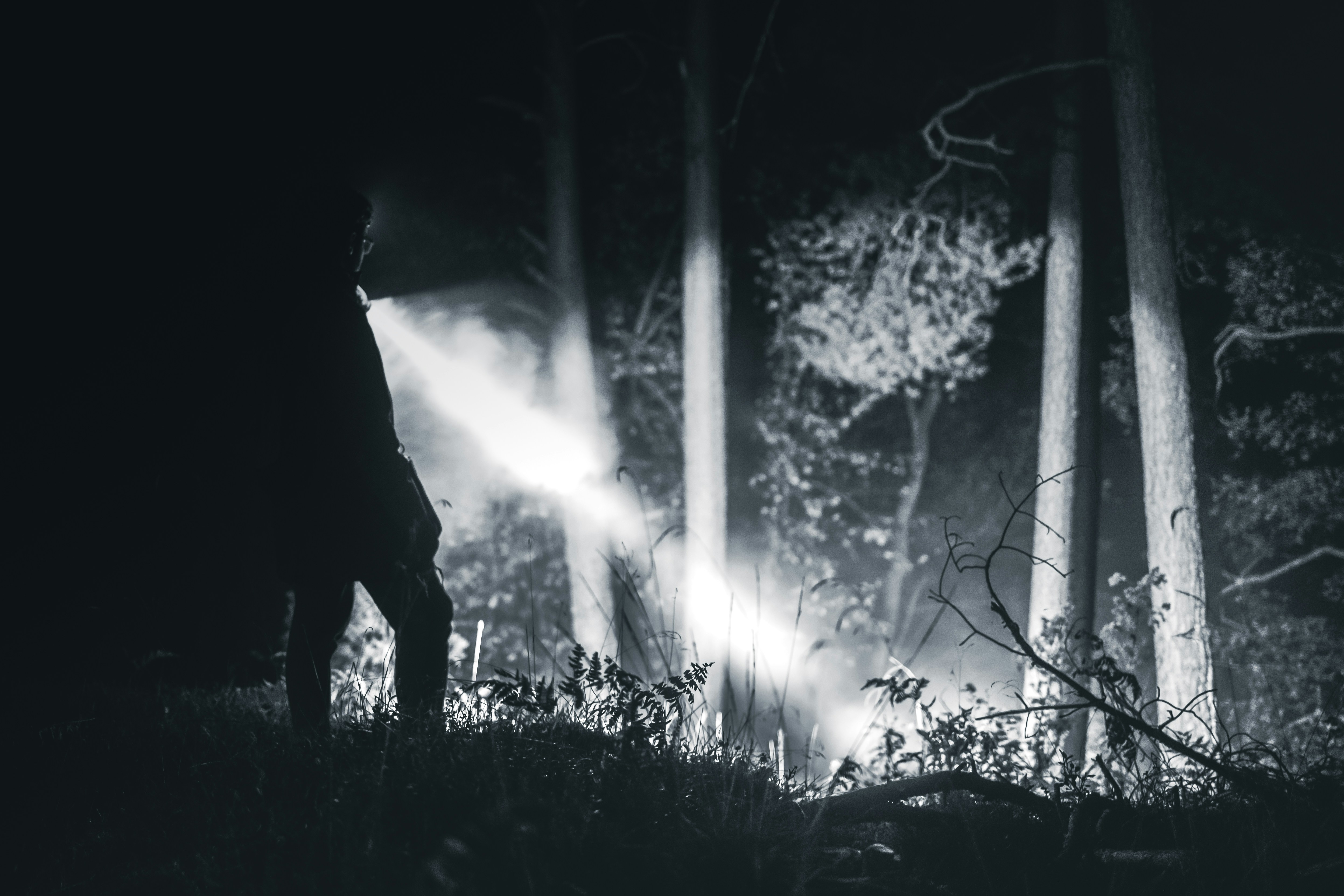 Photo by marekpiwnicki